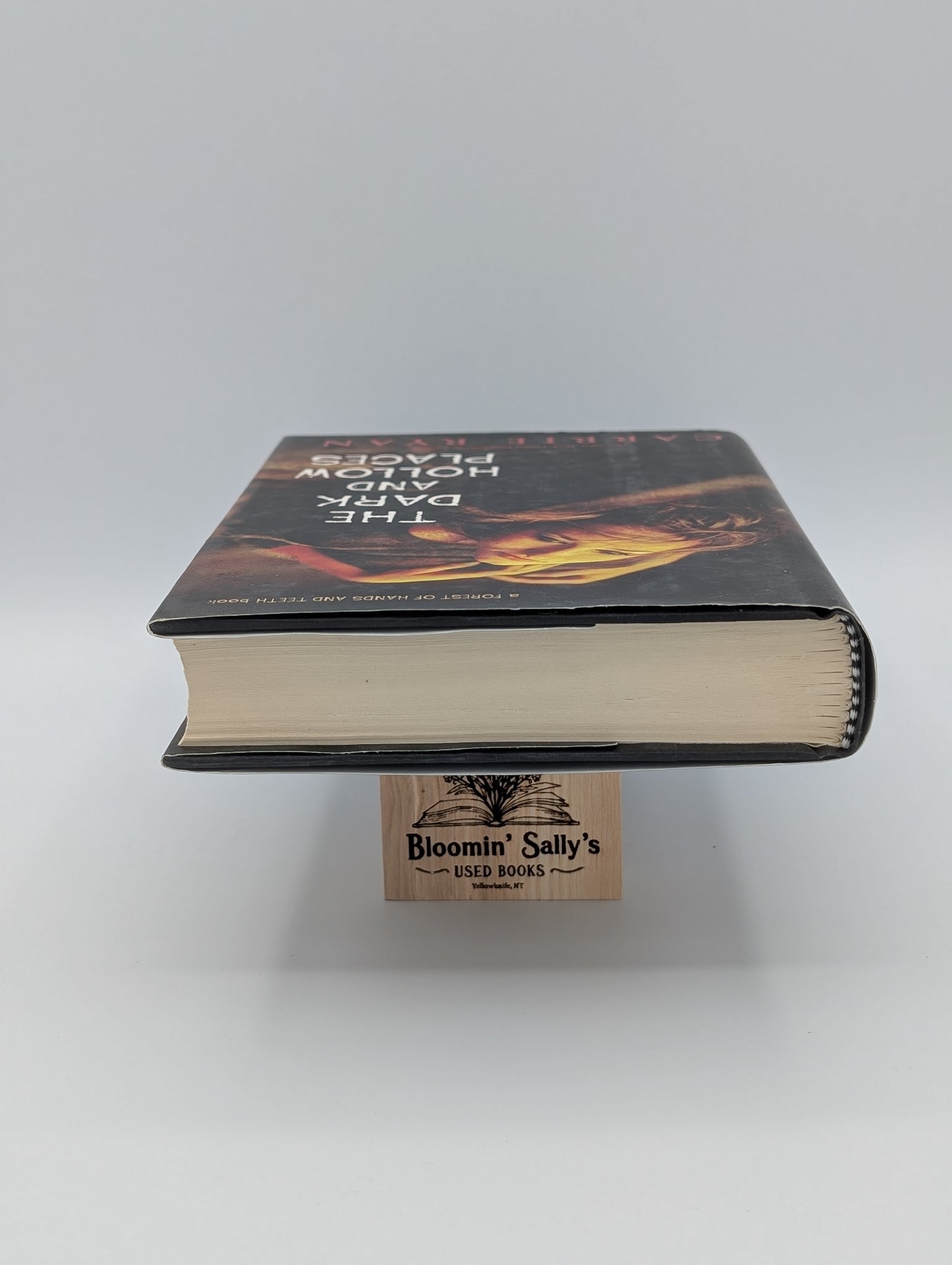 Les lieux sombres et creux (La forêt des mains et des dents, livre 3 - Excellent)