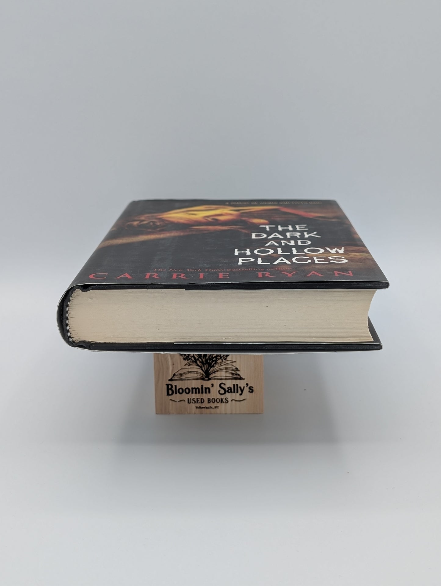 Les lieux sombres et creux (La forêt des mains et des dents, livre 3 - Excellent)