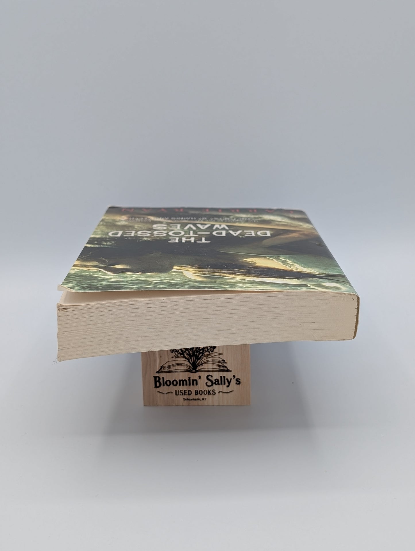 Les Vagues Mortes (Trilogie de la Forêt des Mains et des Dents)
