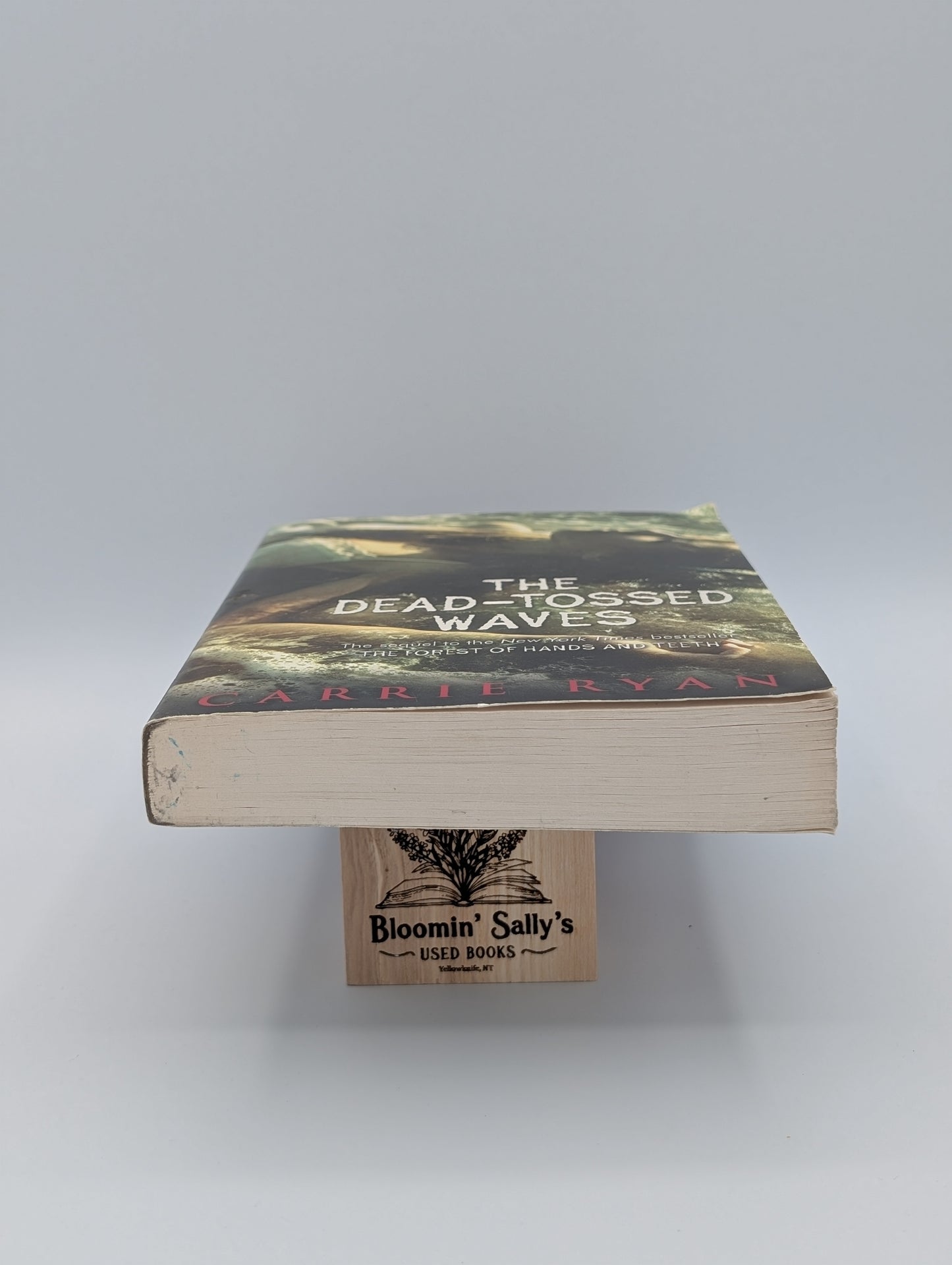 Les Vagues Mortes (Trilogie de la Forêt des Mains et des Dents)