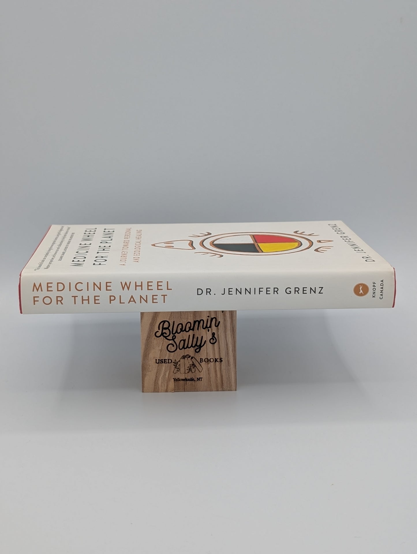 Medicine Wheel for the Planet: A Journey Toward Personal and Ecological Healing