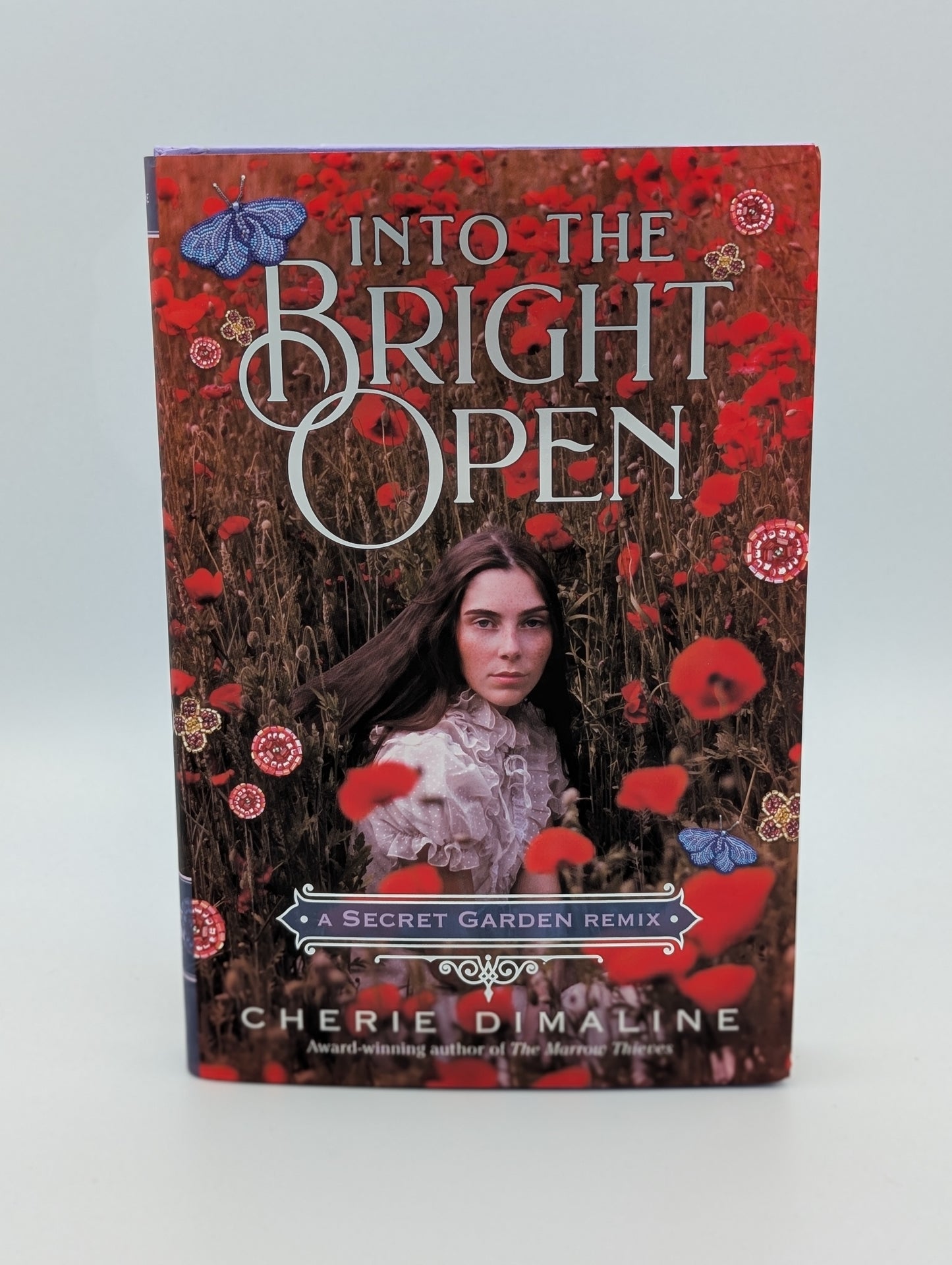 Into the Bright Open : Un remix de Secret Garden (Classiques remixés, 8)