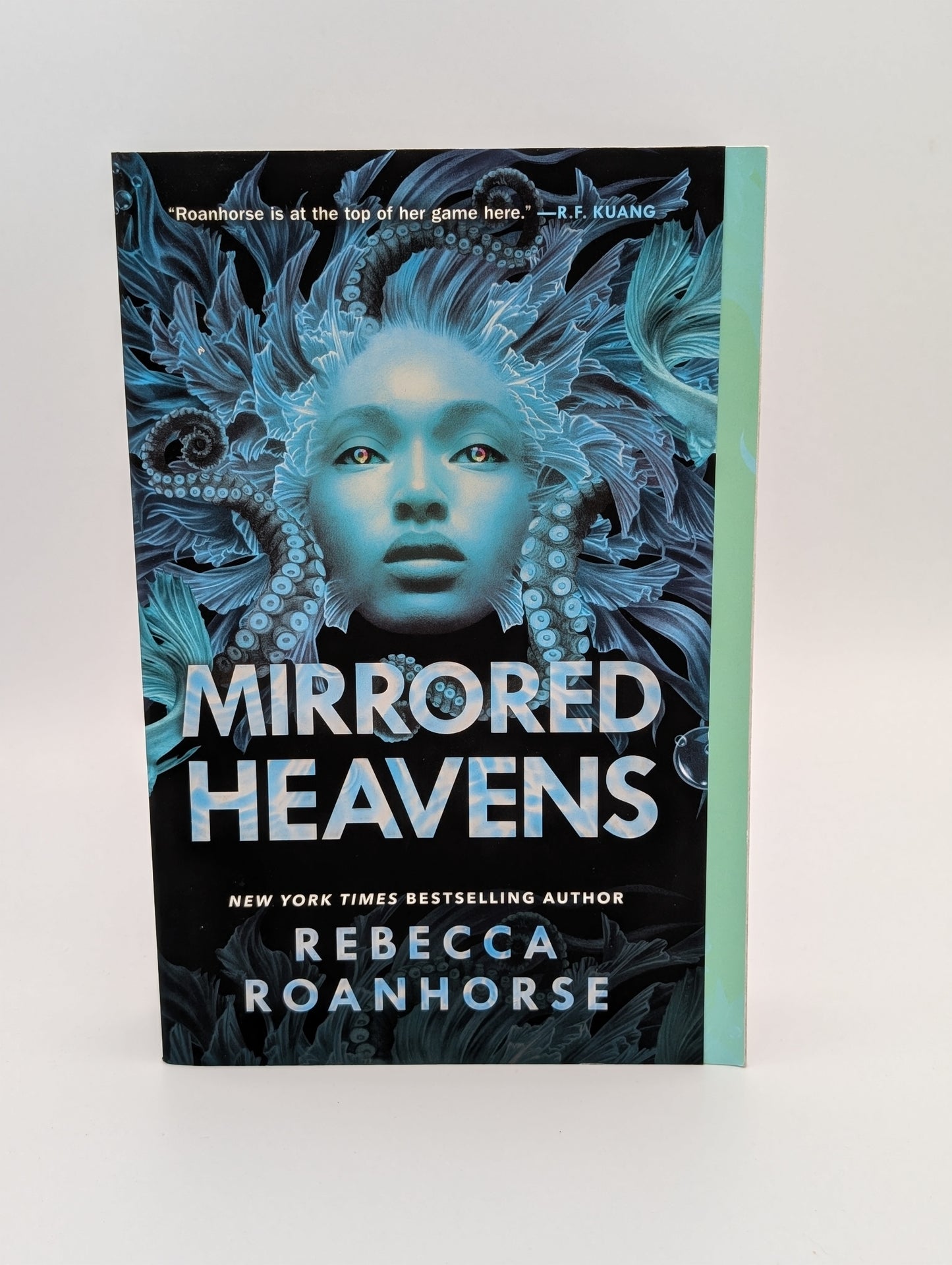 Mirrored Heavens (3) (Between Earth and Sky)
