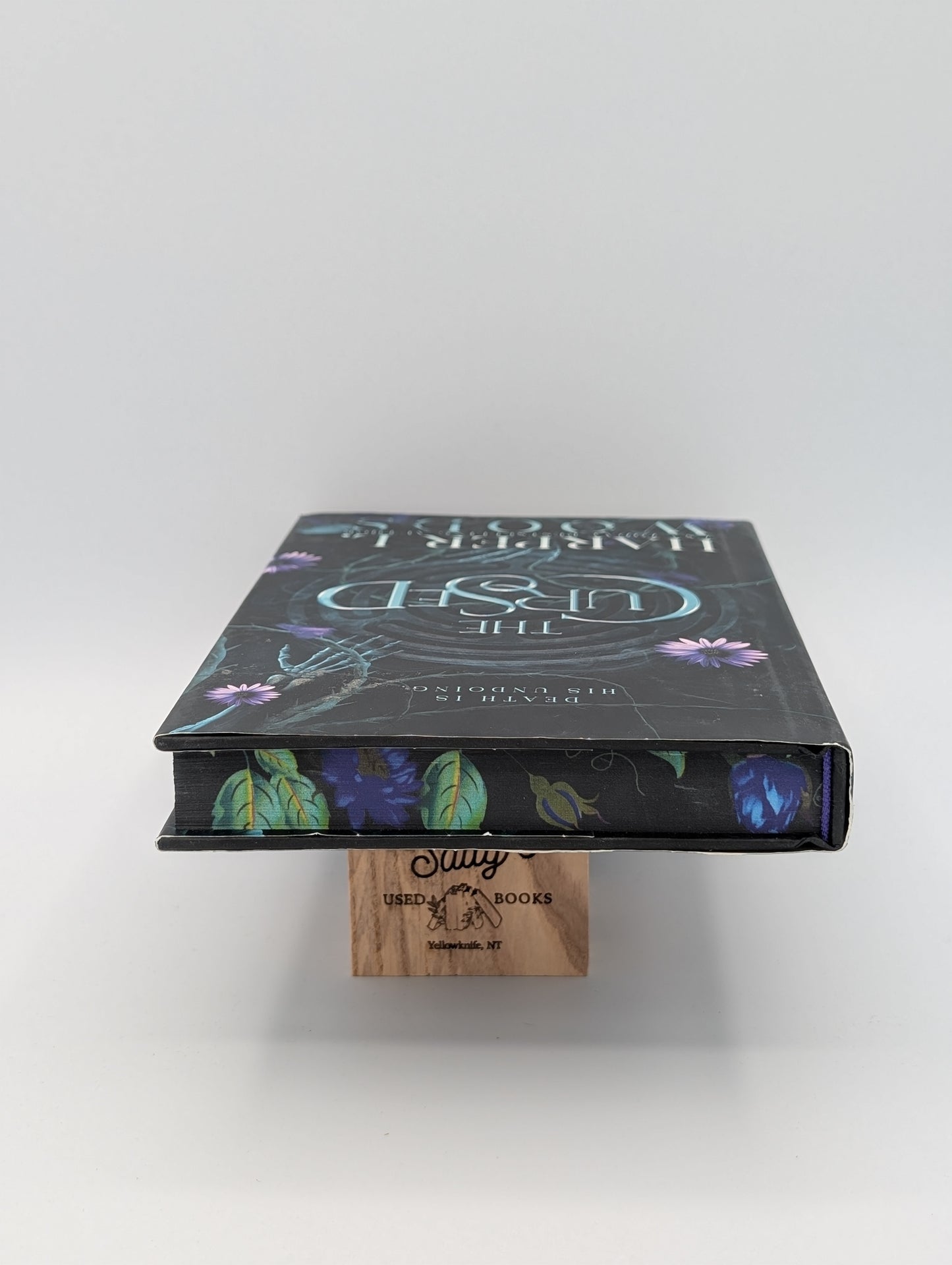 The Cursed: Special Edition (Coven of Bones, 2)