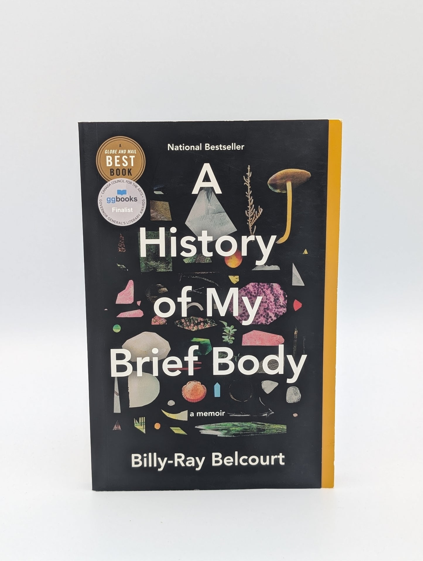 A HISTORY OF MY BRIEF BODY