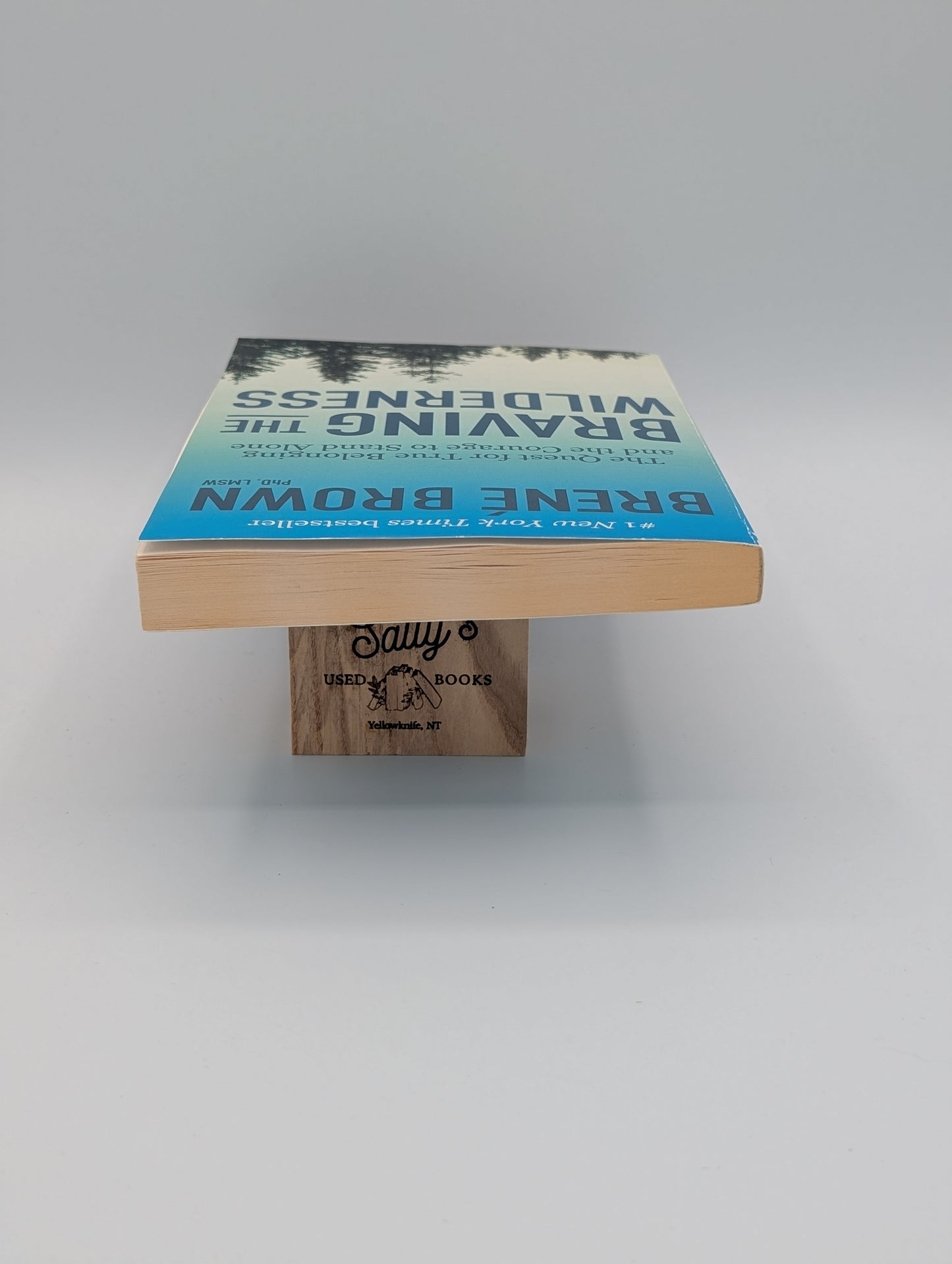 Affronter la nature sauvage : Le club de lecture de Reese : La quête d'une véritable appartenance et le courage de rester seul