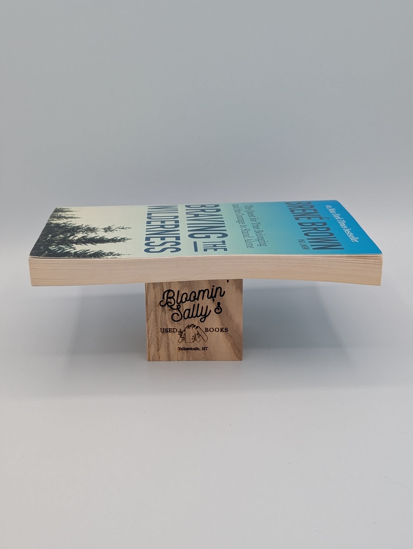 Affronter la nature sauvage : Le club de lecture de Reese : La quête d'une véritable appartenance et le courage de rester seul