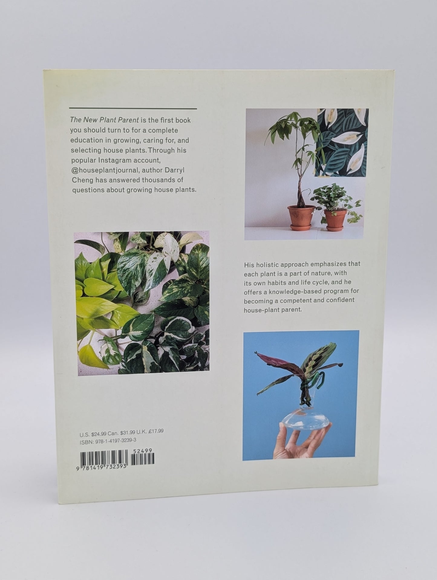 The New Plant Parent: Develop Your Green Thumb and Care for Your House-Plant Family