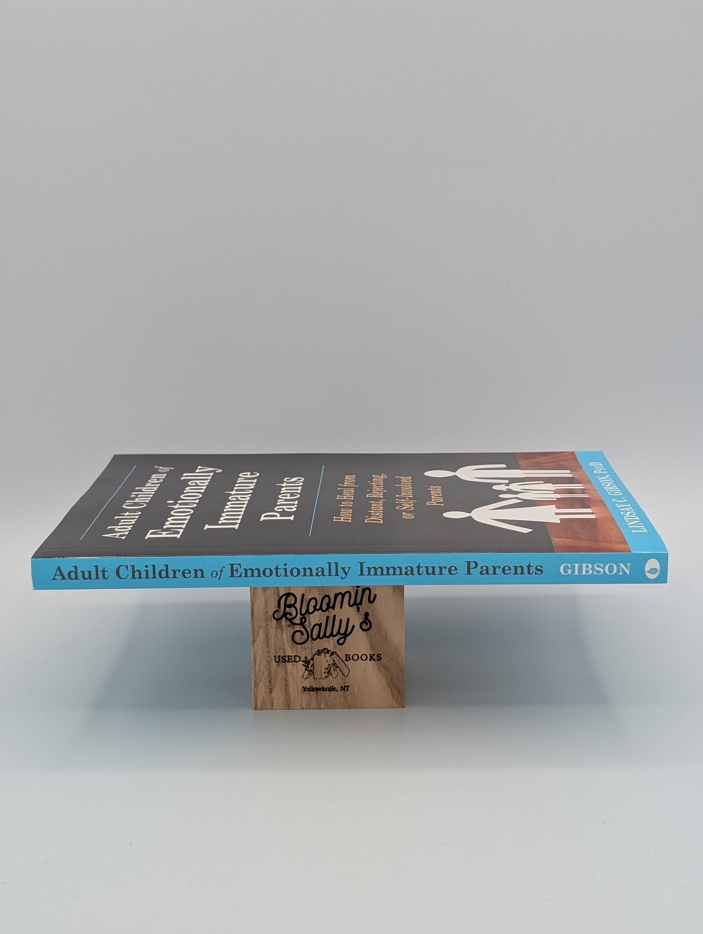 Adult Children of Emotionally Immature Parents: How to Heal from Distant, Rejecting, or Self-Involved Parents