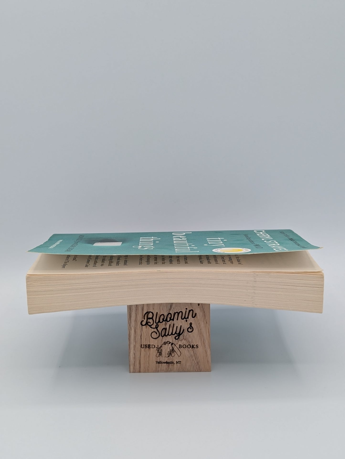 Tiny Beautiful Things (10th Anniversary Edition): Reese's Book Club: Advice from Dear Sugar