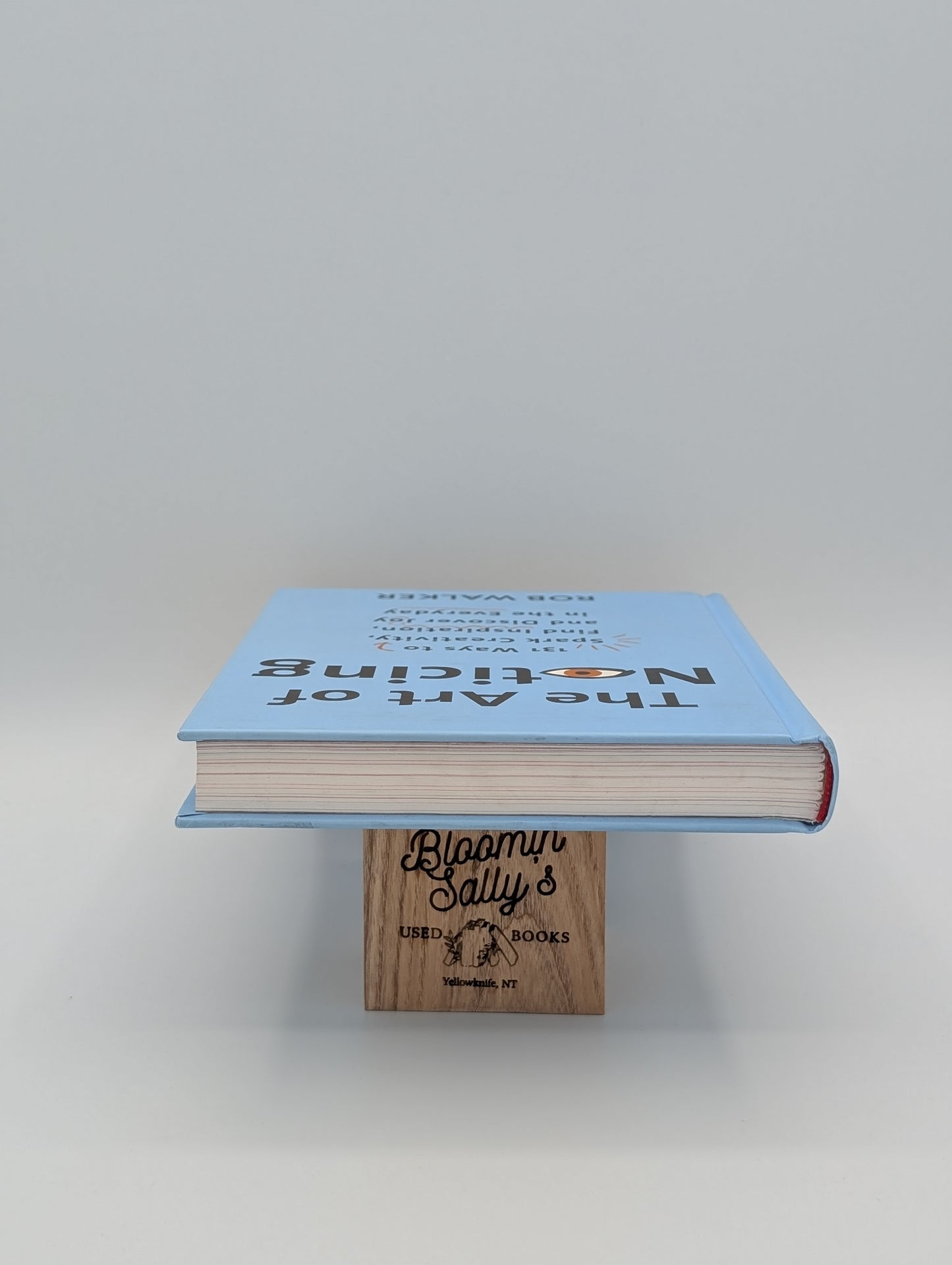 L'art de l'observation : 131 façons de stimuler la créativité, de trouver l'inspiration et de découvrir la joie au quotidien