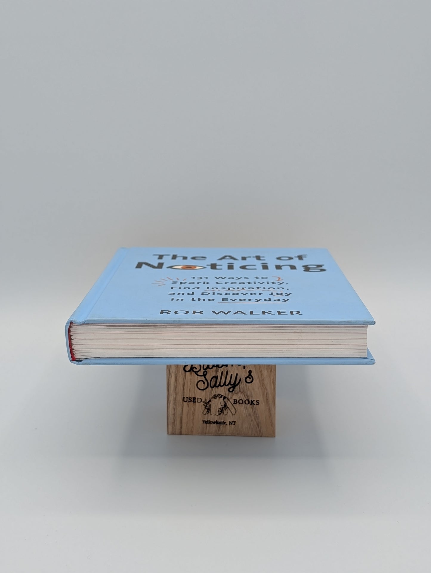 L'art de l'observation : 131 façons de stimuler la créativité, de trouver l'inspiration et de découvrir la joie au quotidien