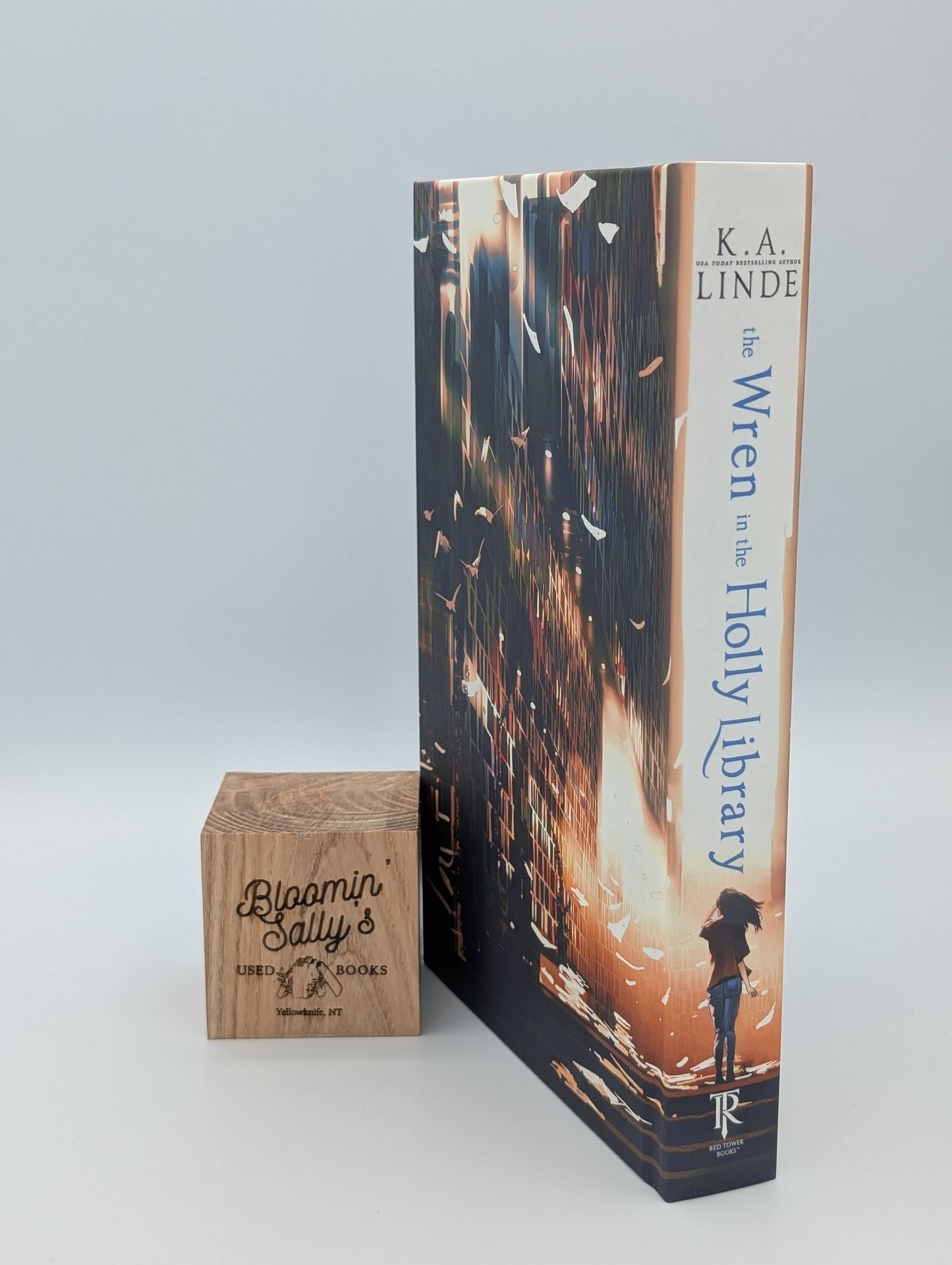 Le Troglodyte mignon dans la bibliothèque Holly (Édition limitée de luxe)