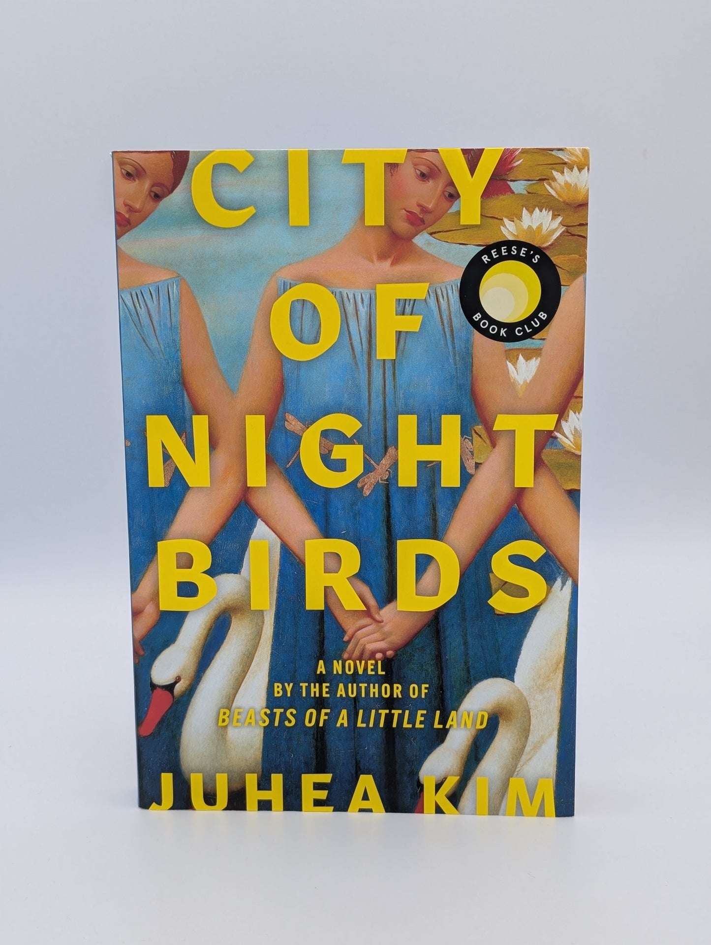 Cité des oiseaux de nuit