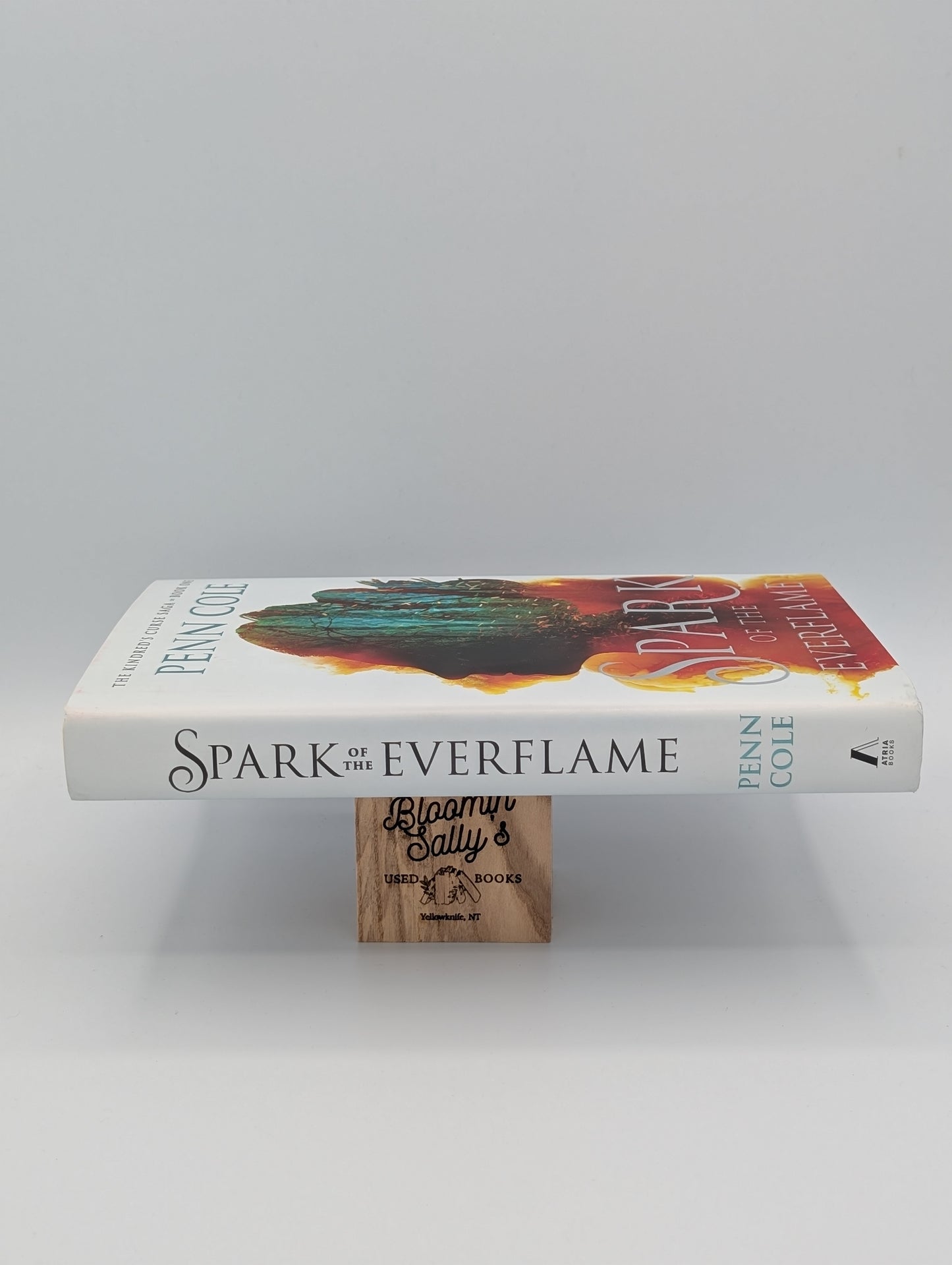 L'Étincelle de la Flamme Éternelle : Un Roman (1) (La Saga de la Malédiction des Kindred)