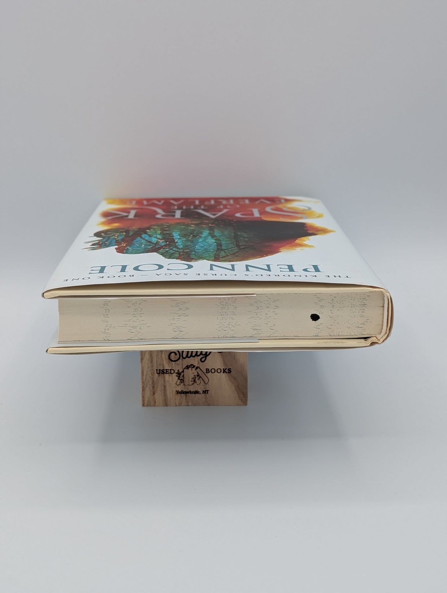 L'Étincelle de la Flamme Éternelle : Un Roman (1) (La Saga de la Malédiction des Kindred)
