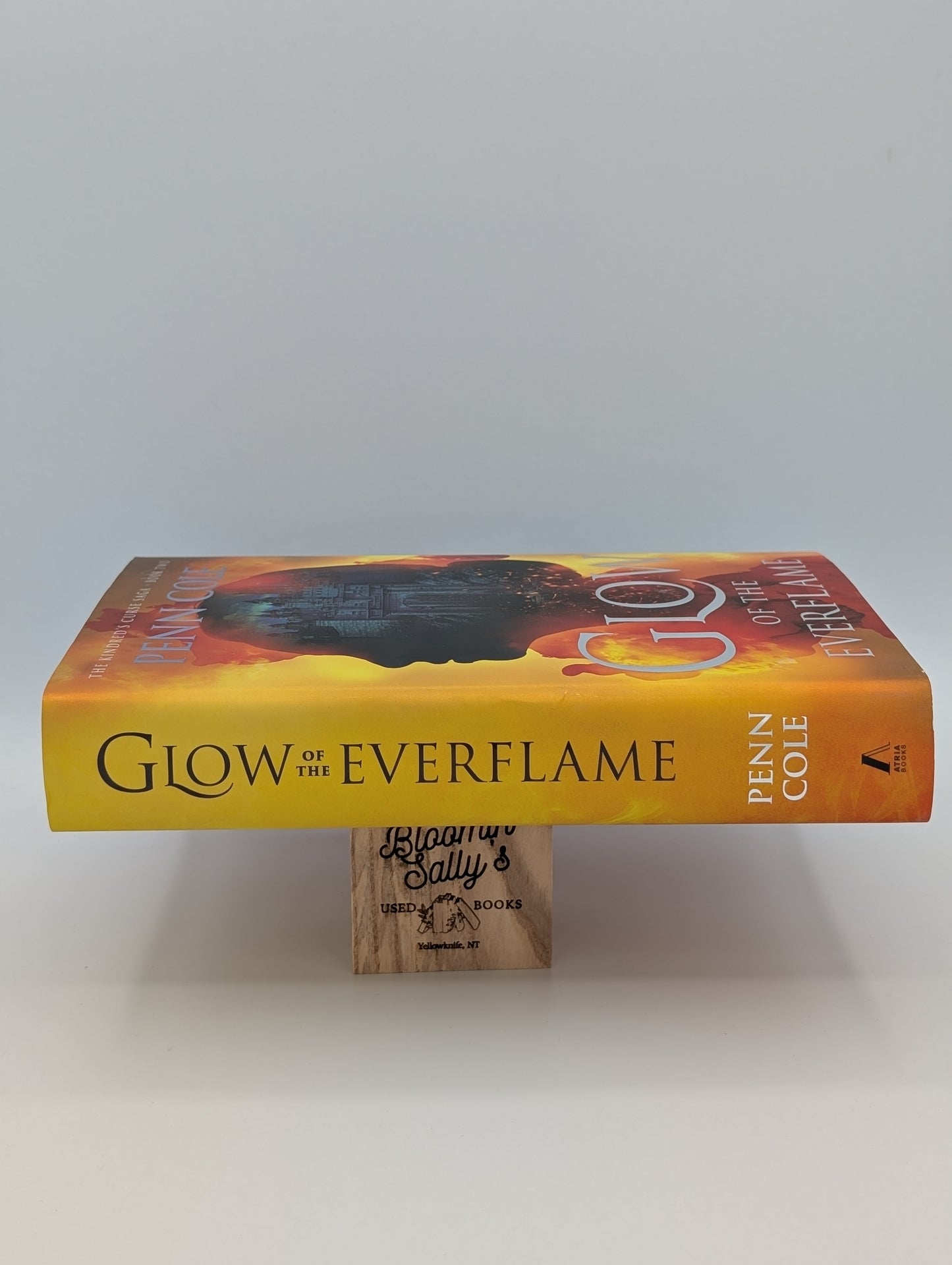 Lueur de la Flamme Éternelle : Un Roman (2) (La Saga de la Malédiction des Kindred)