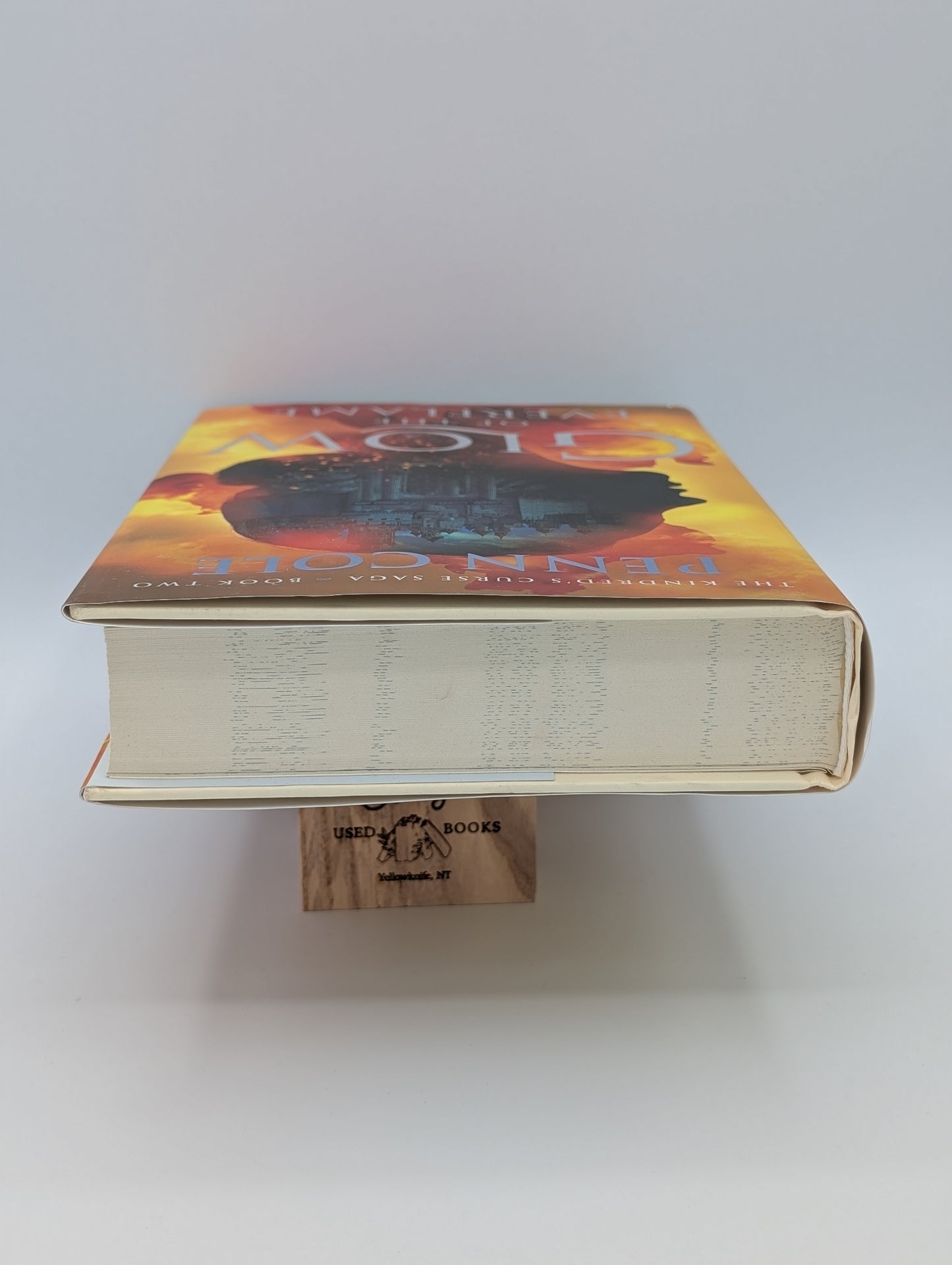 Lueur de la Flamme Éternelle : Un Roman (2) (La Saga de la Malédiction des Kindred)