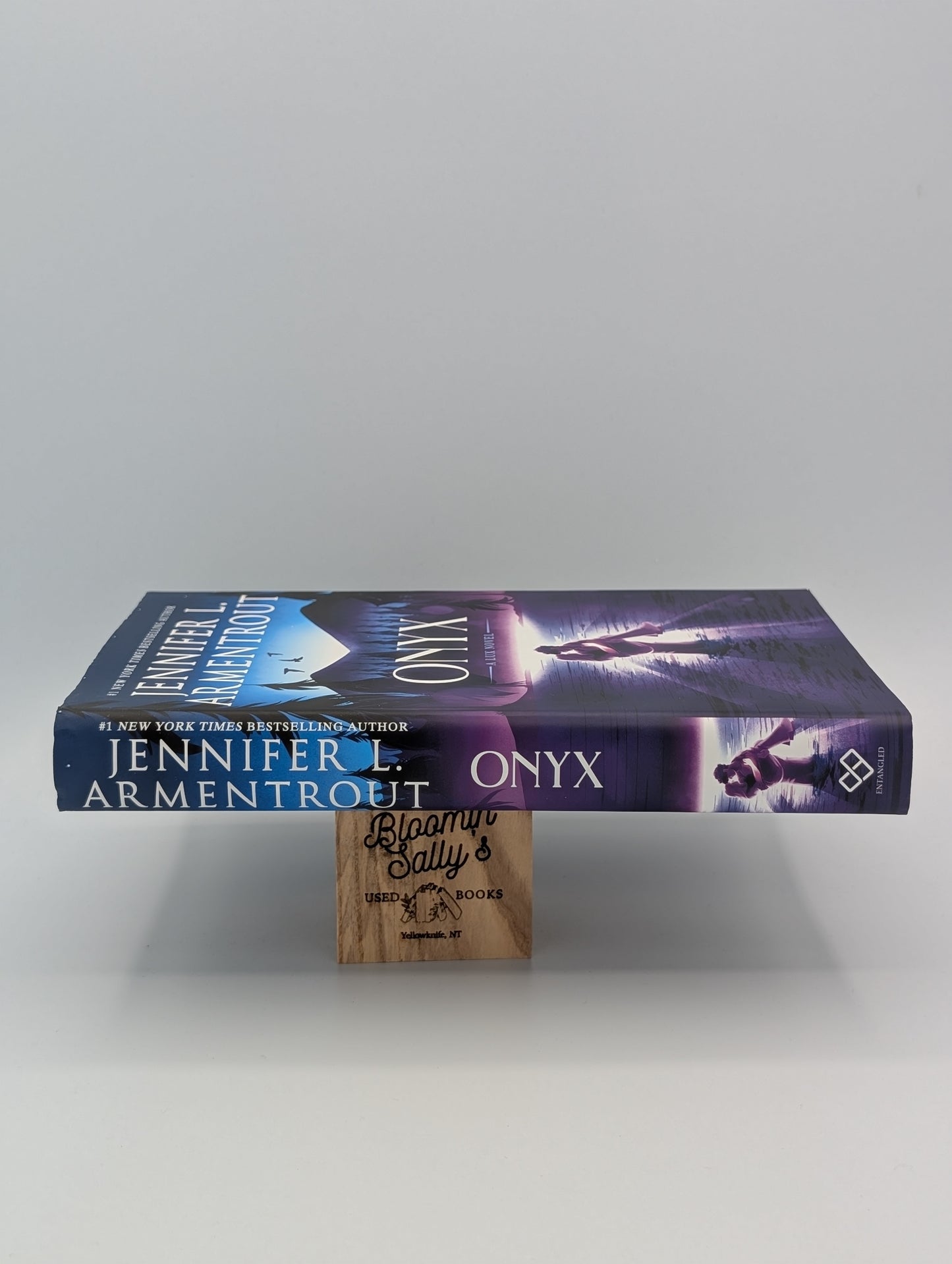 Onyx (Un roman Lux, 2)