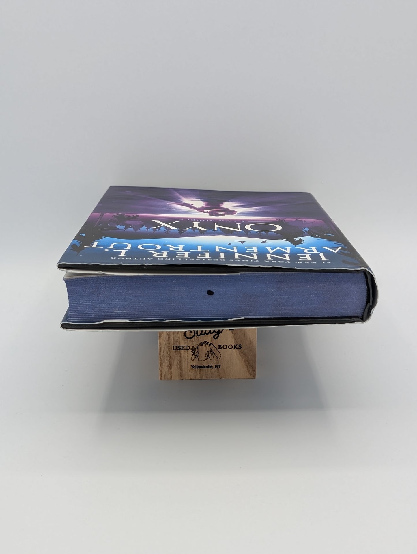 Onyx (Un roman Lux, 2)