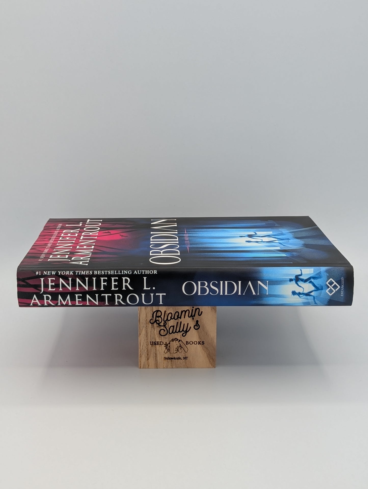 Obsidienne (Un roman Lux, 1)