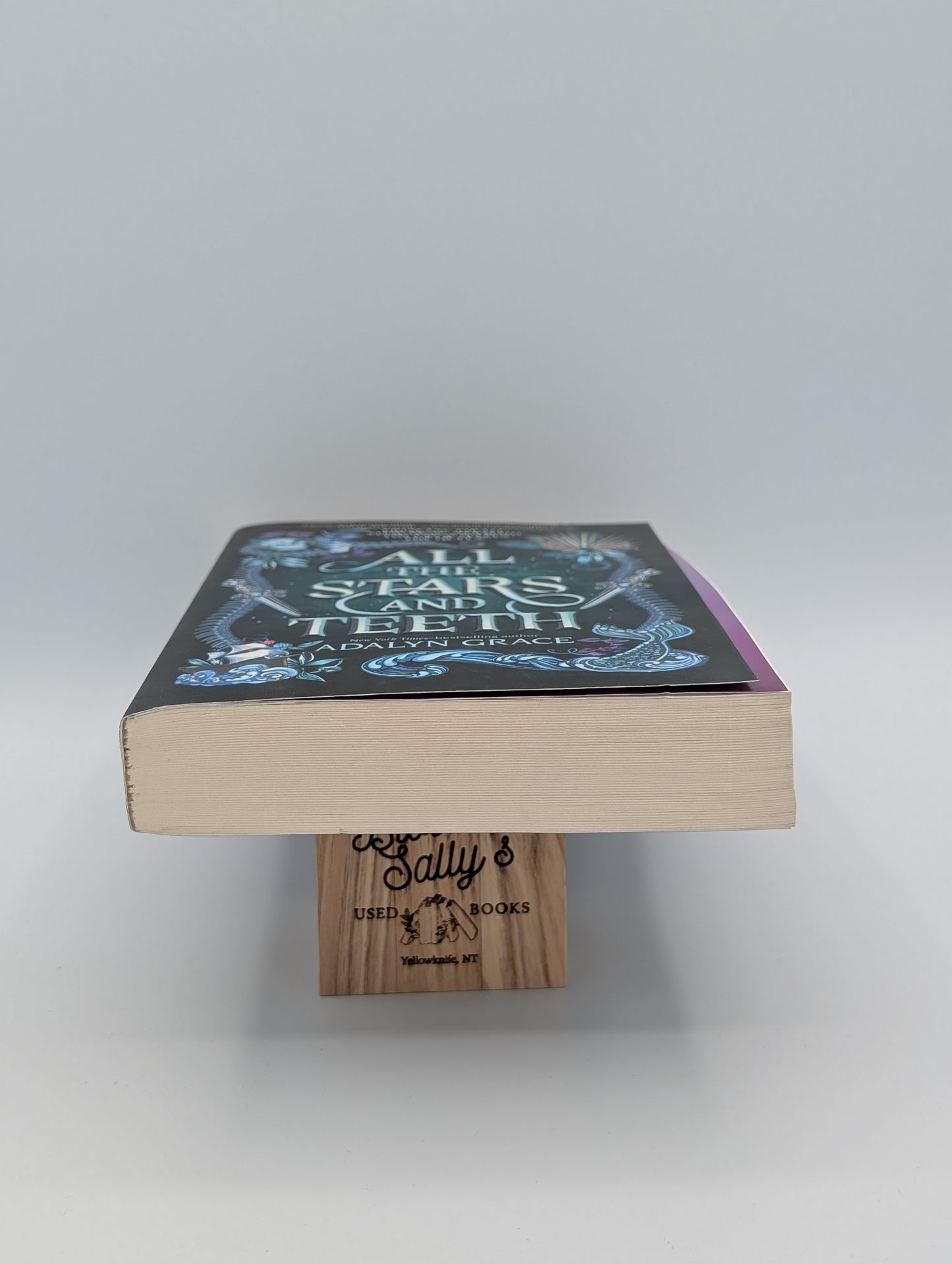 Toutes les étoiles et les dents (Duologie Toutes les étoiles et les dents, 1)