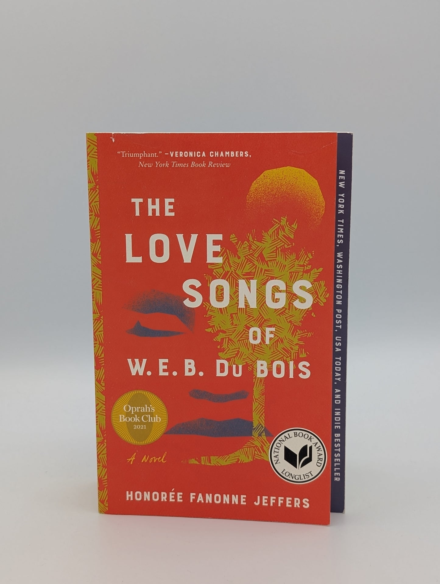 Les chansons d'amour de W.E.B. Du Bois : un roman