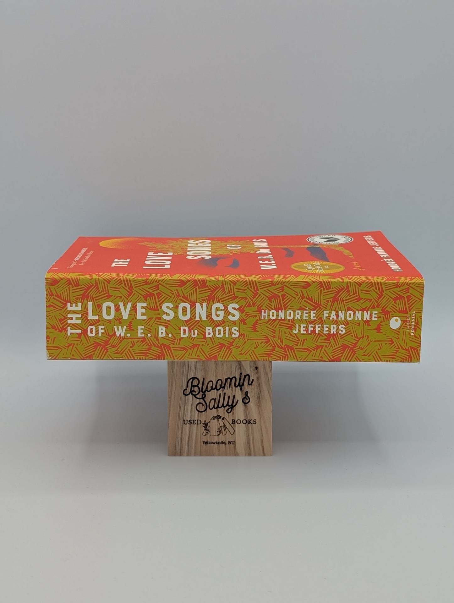 Les chansons d'amour de W.E.B. Du Bois : un roman