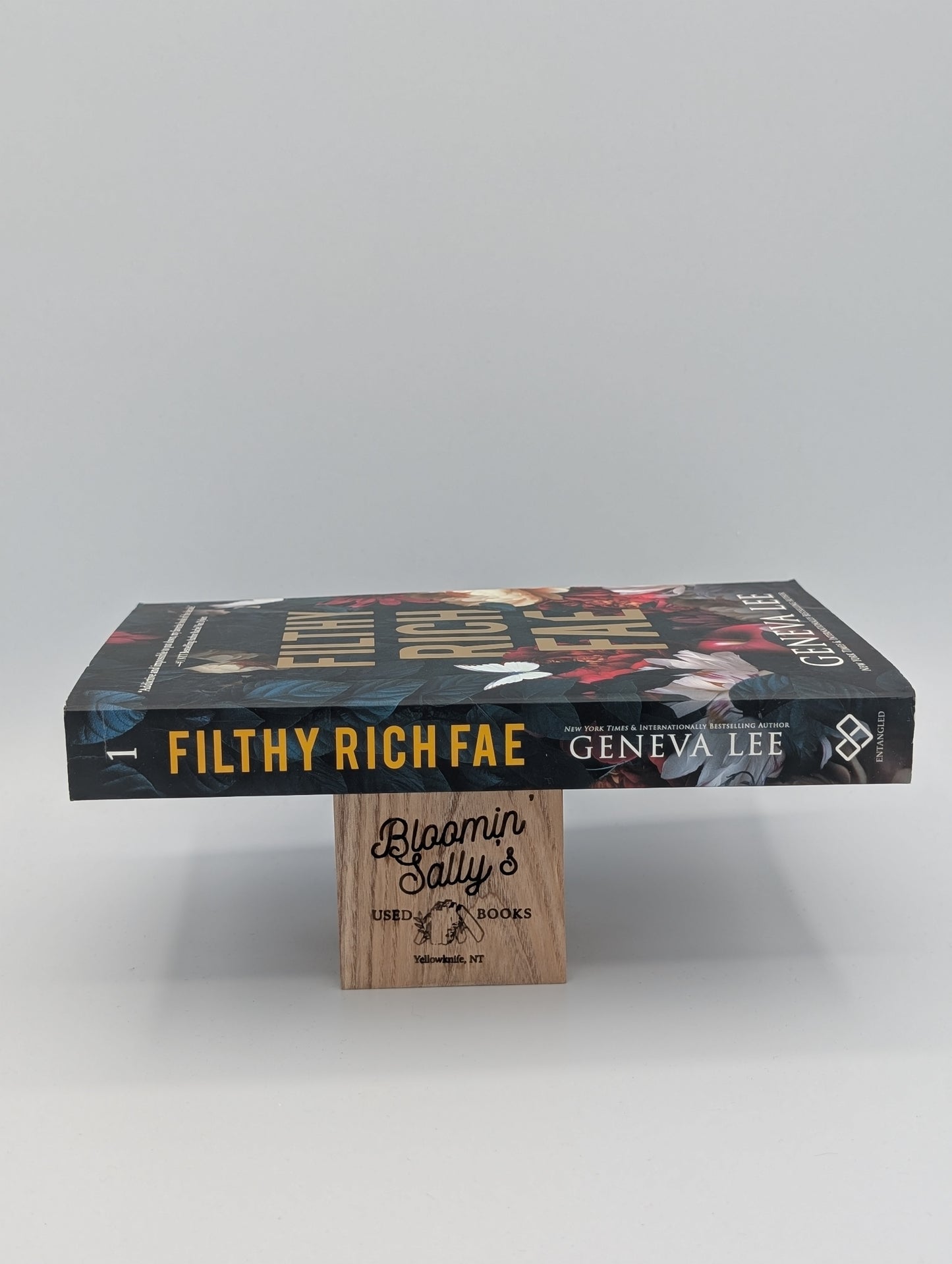 Fée riche et sale