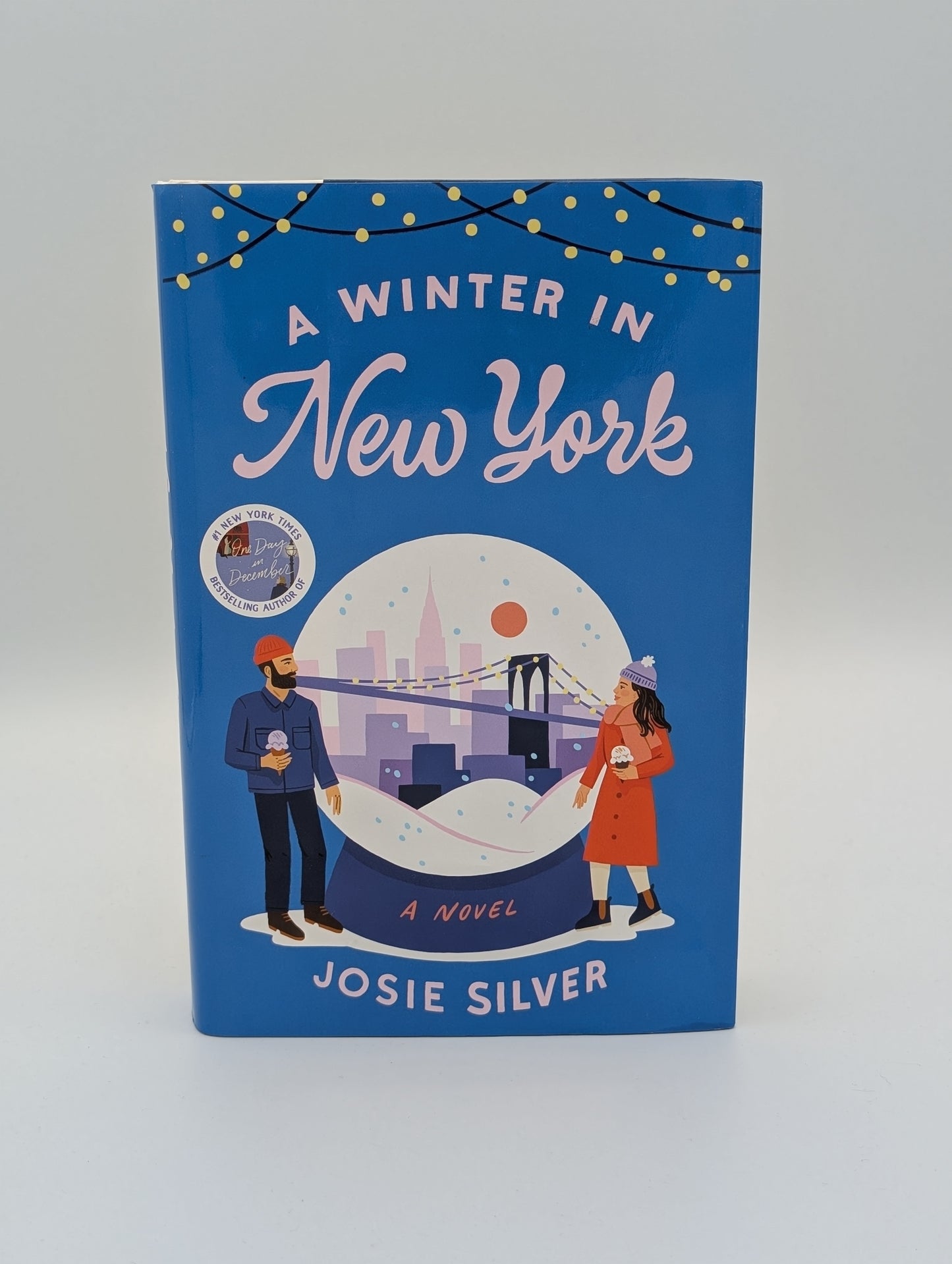 Un hiver à New York : un roman