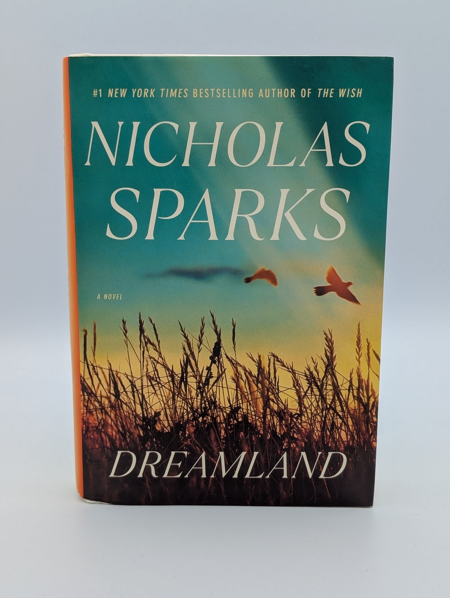 Dreamland : un roman