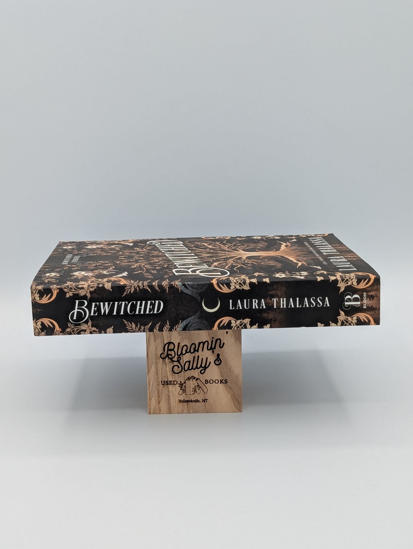 Ma sorcière bien-aimée (Édition Deluxe) (La série Ma sorcière bien-aimée, 1)
