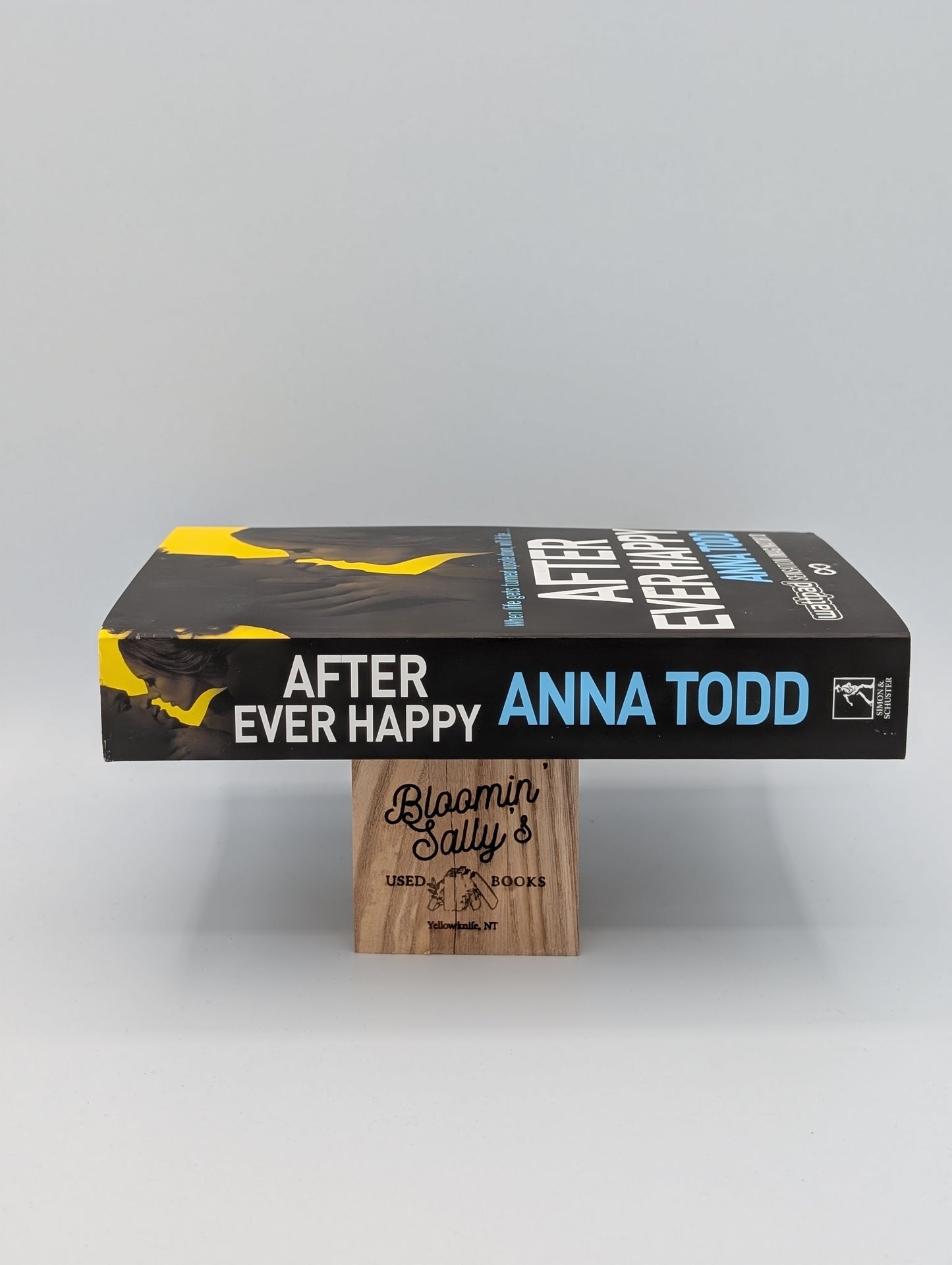 Après Toujours Heureux (La série After)