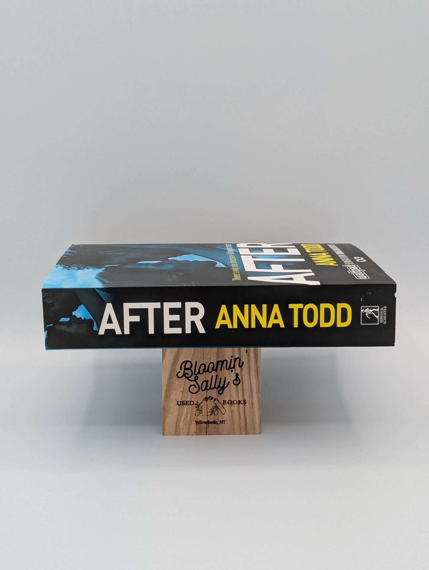 Après la série After (broché)