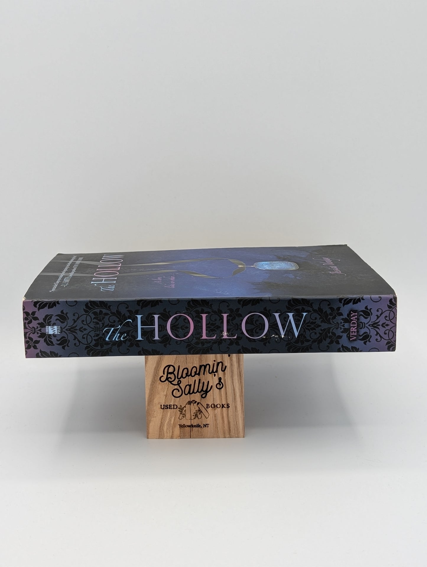 The Hollow (Trilogie Hollow (Qualité))