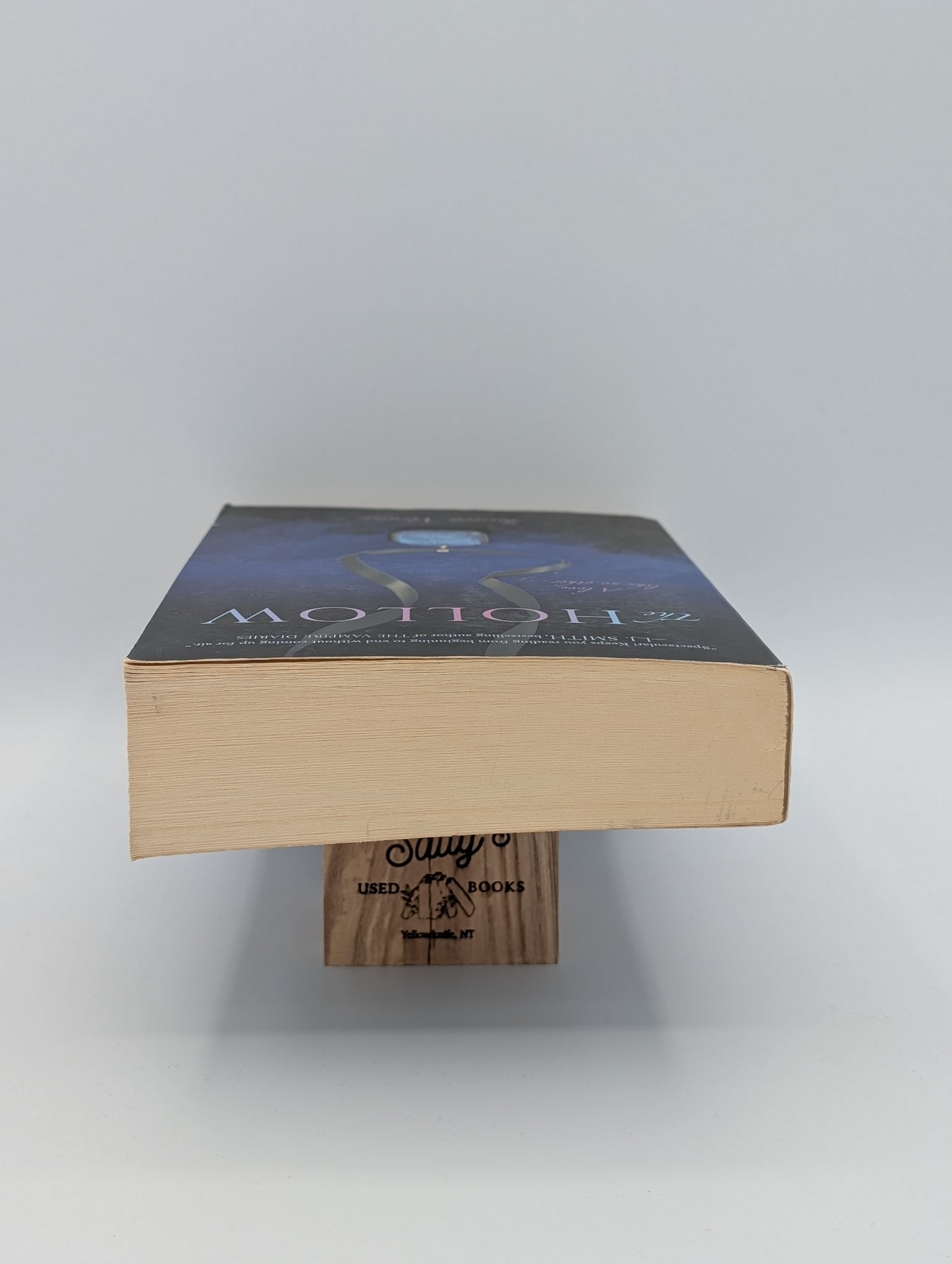 The Hollow (Trilogie Hollow (Qualité))