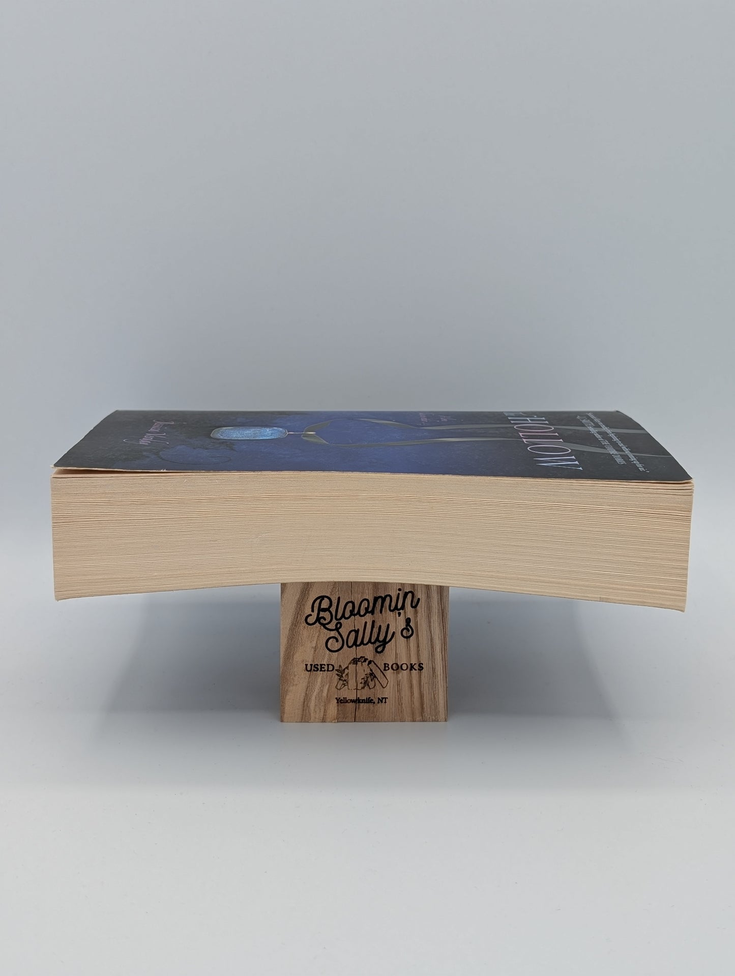 The Hollow (Trilogie Hollow (Qualité))