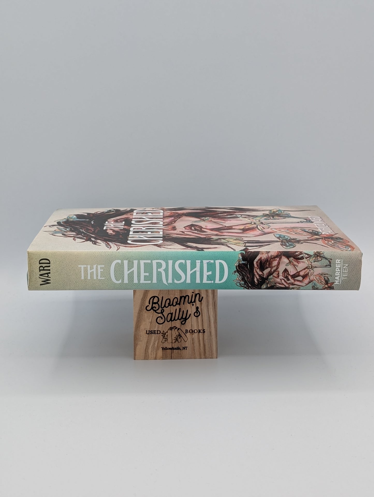 The Cherished: A YA Horror Thriller of Mysterious Inheritance and the Dark House That Won't Let Go