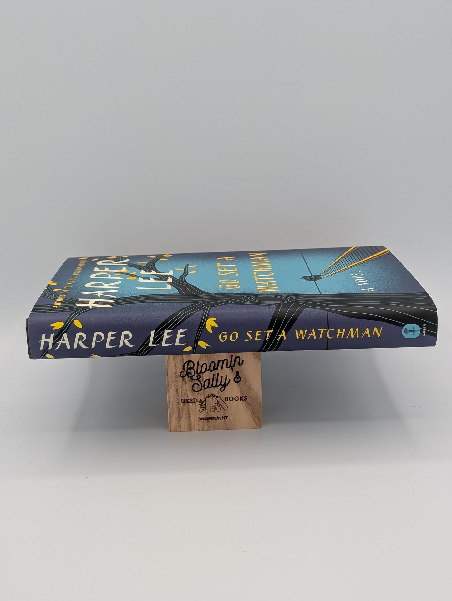 Go Set a Watchman: A Novel