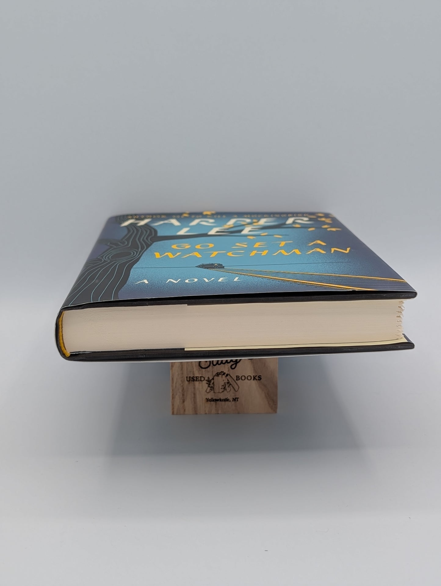 Go Set a Watchman: A Novel