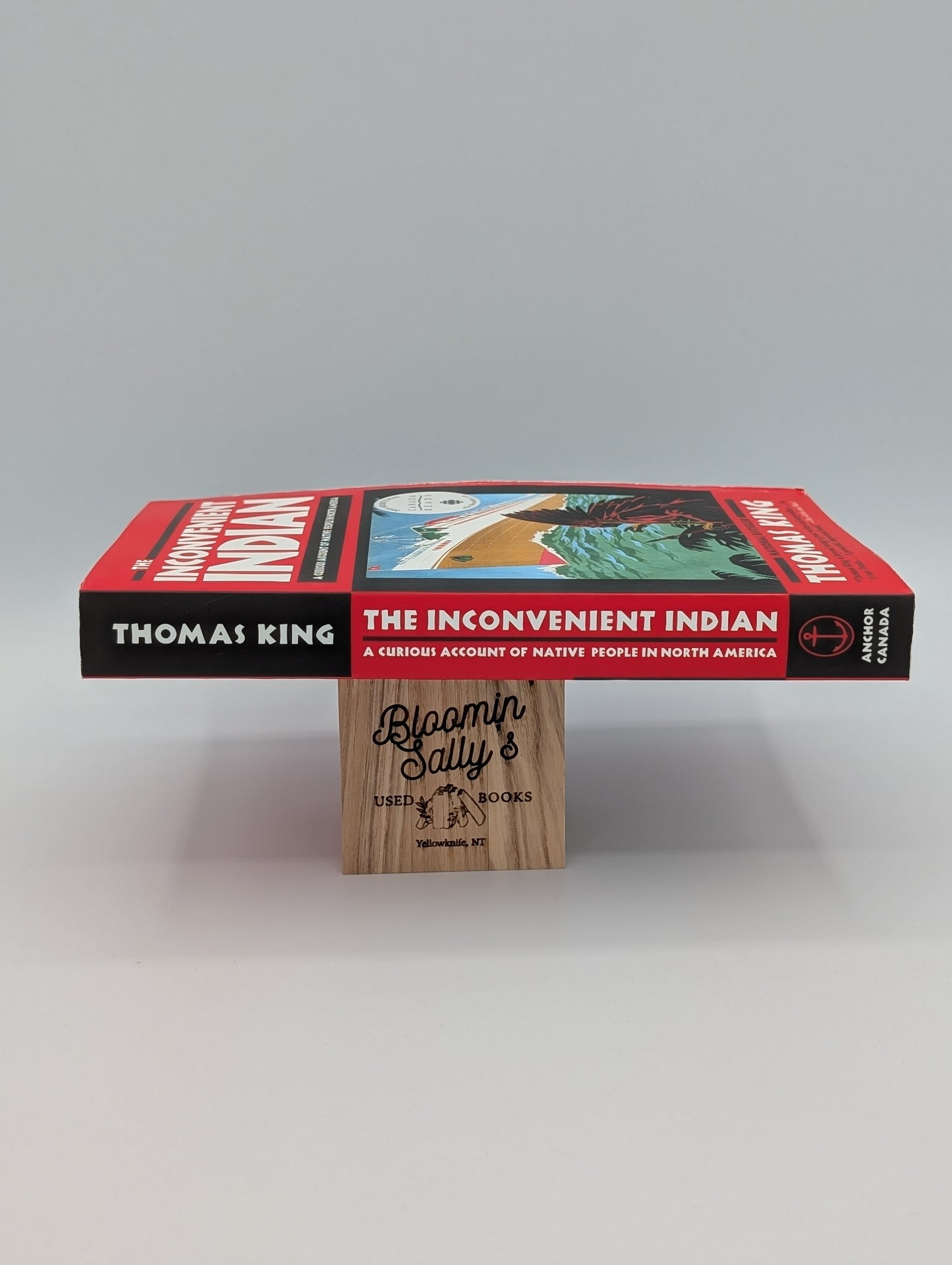 The Inconvenient Indian: A Curious Account of Native People in North America