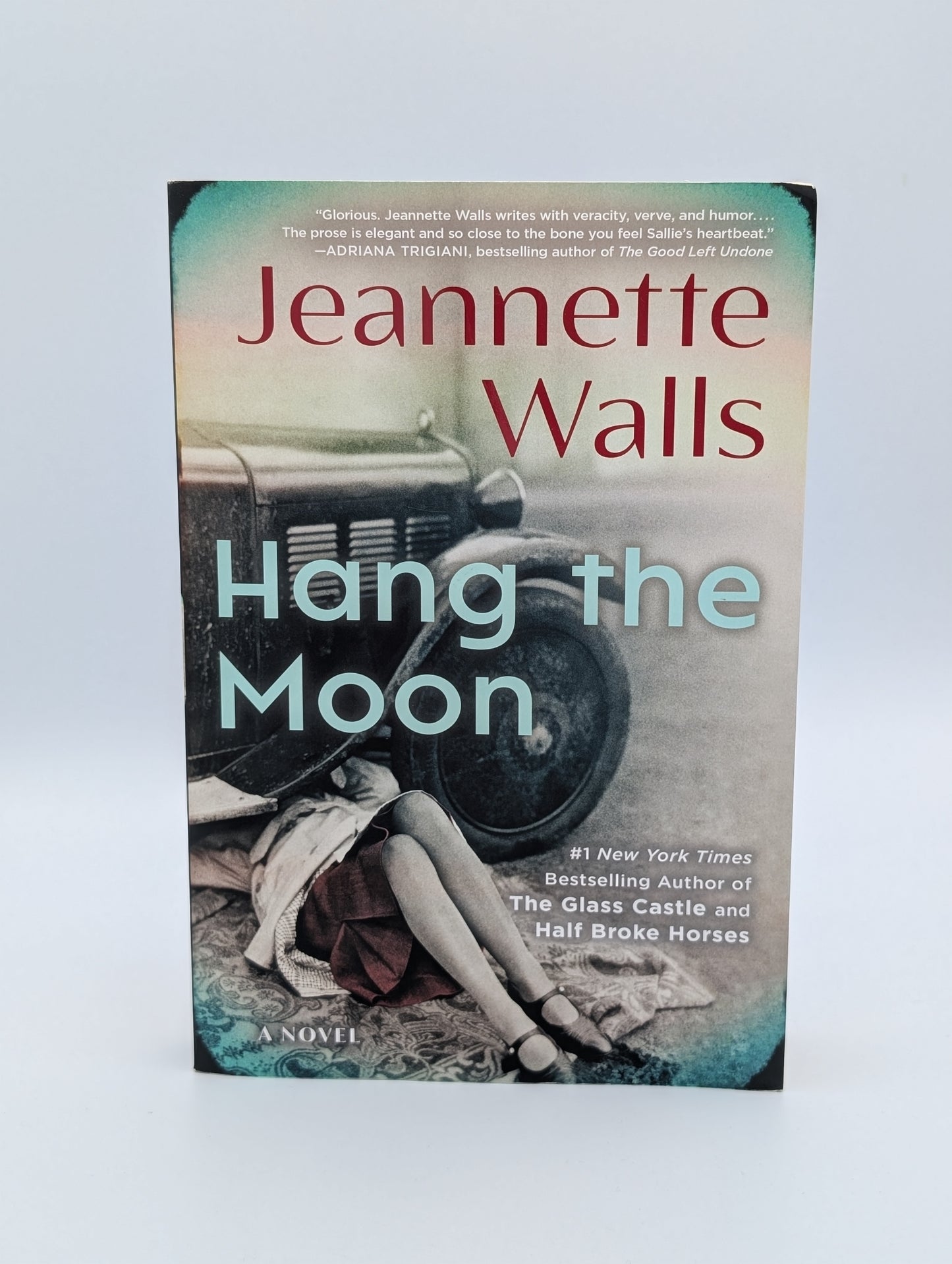 Hang the Moon: A Novel (Wild Bloom)
