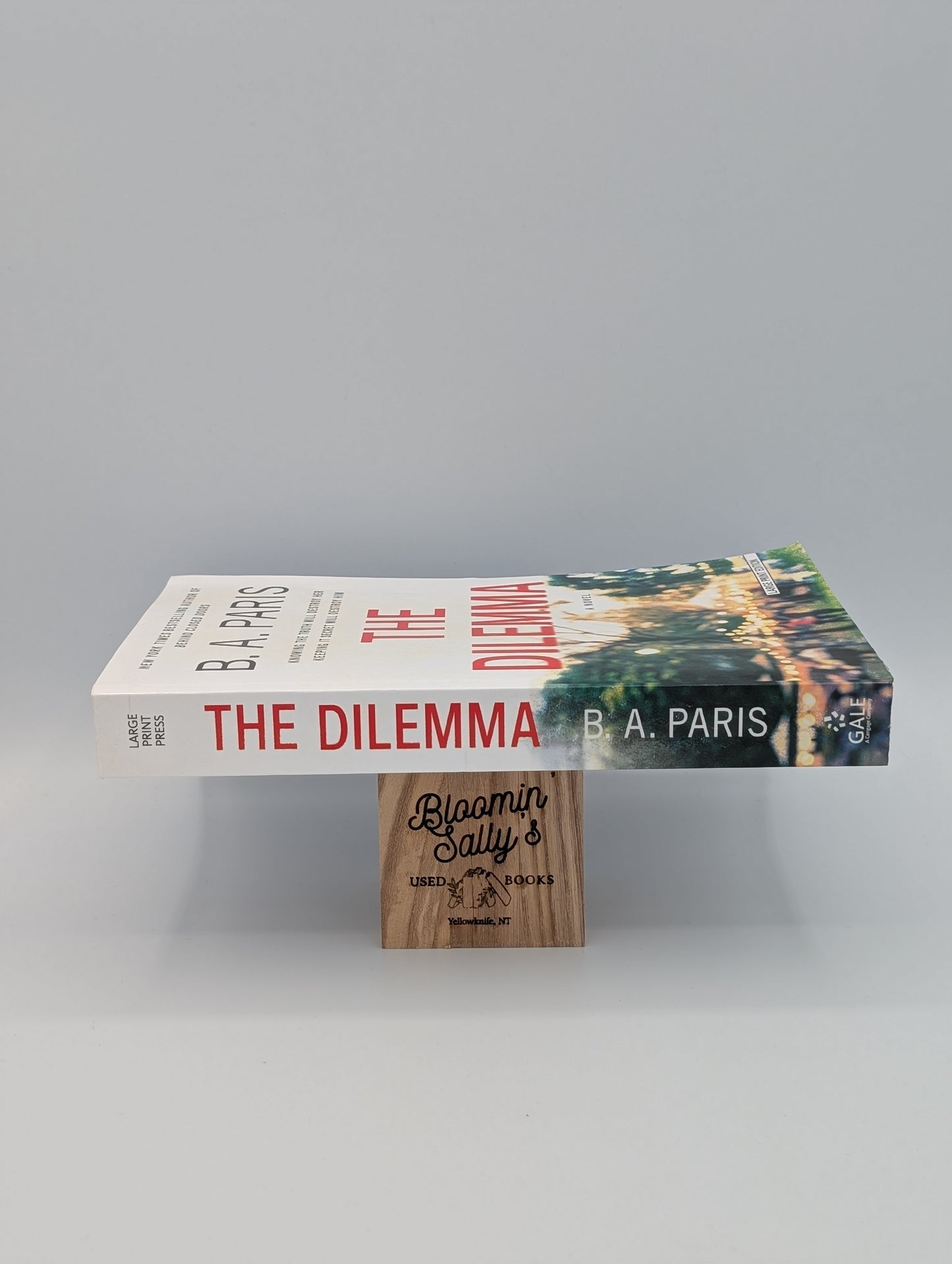 Le dilemme (gros caractères)