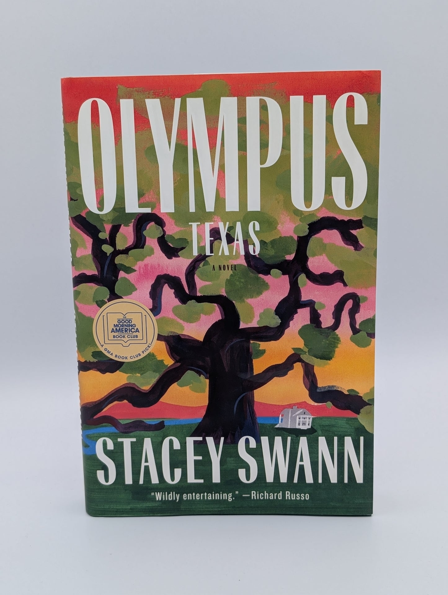Olympus, Texas : Un roman
