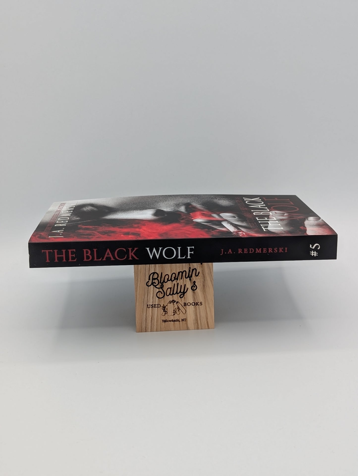 Le Loup Noir (En compagnie de tueurs)