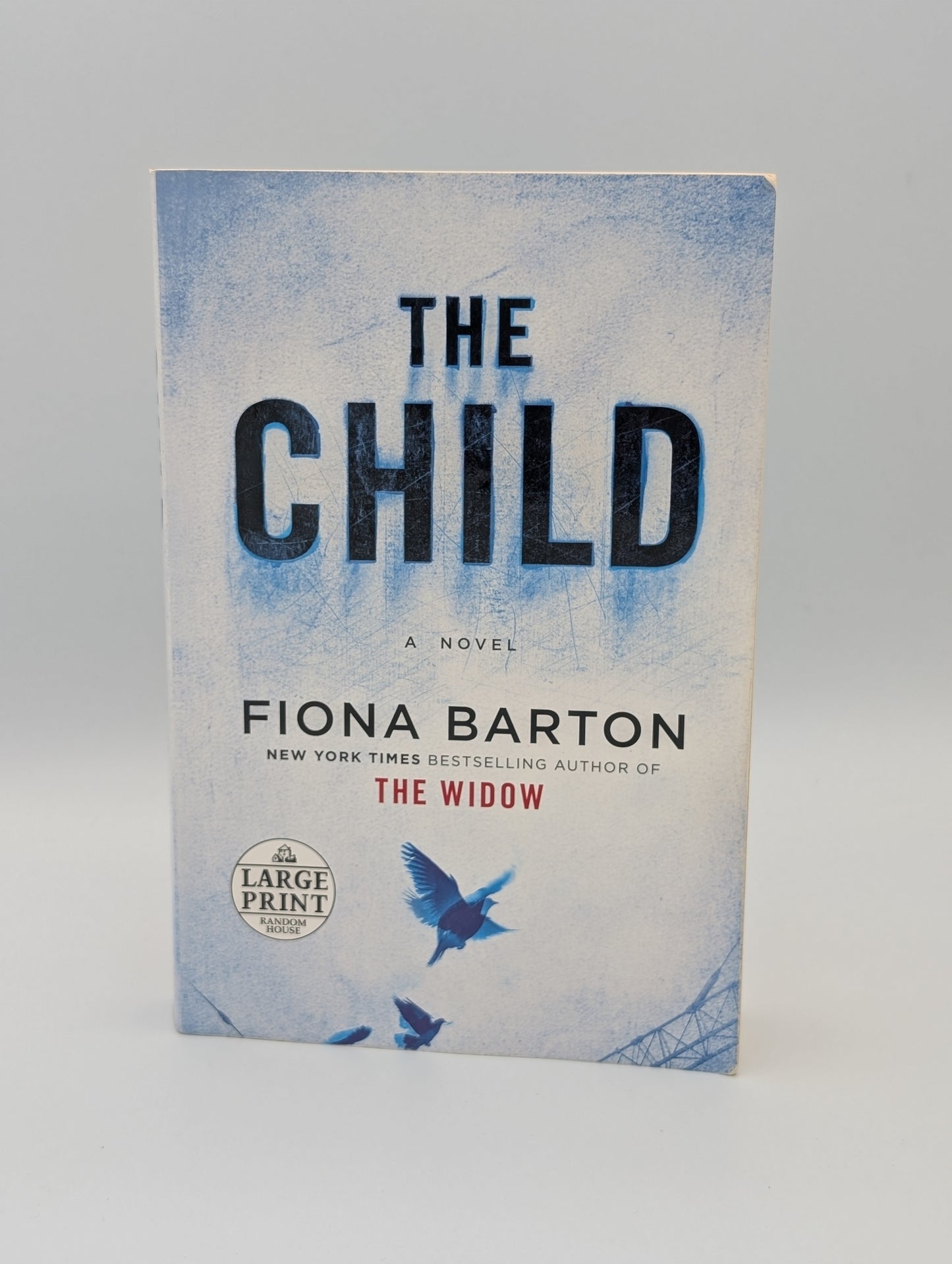 The Child (Large Print)
