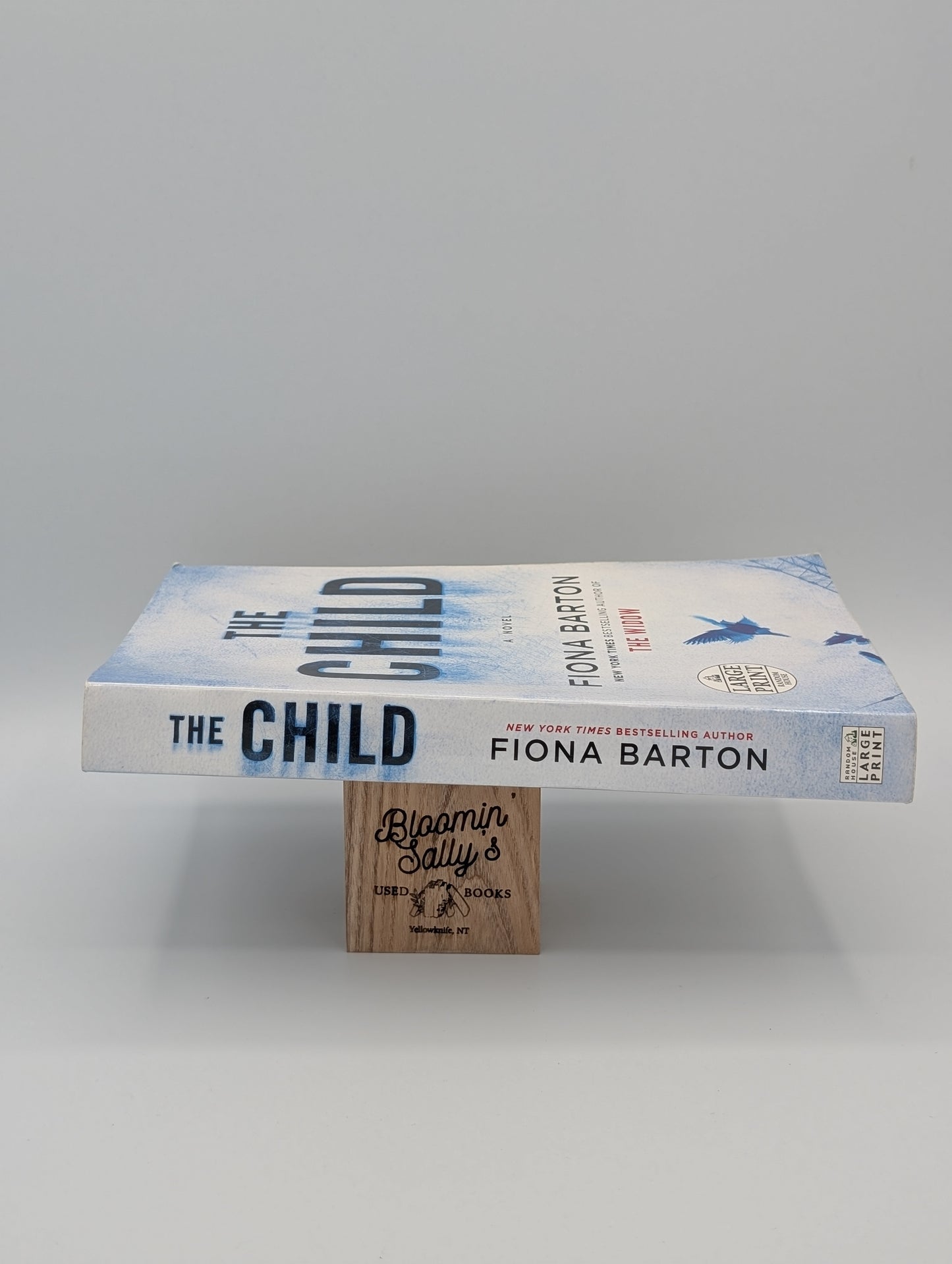 The Child (Large Print)
