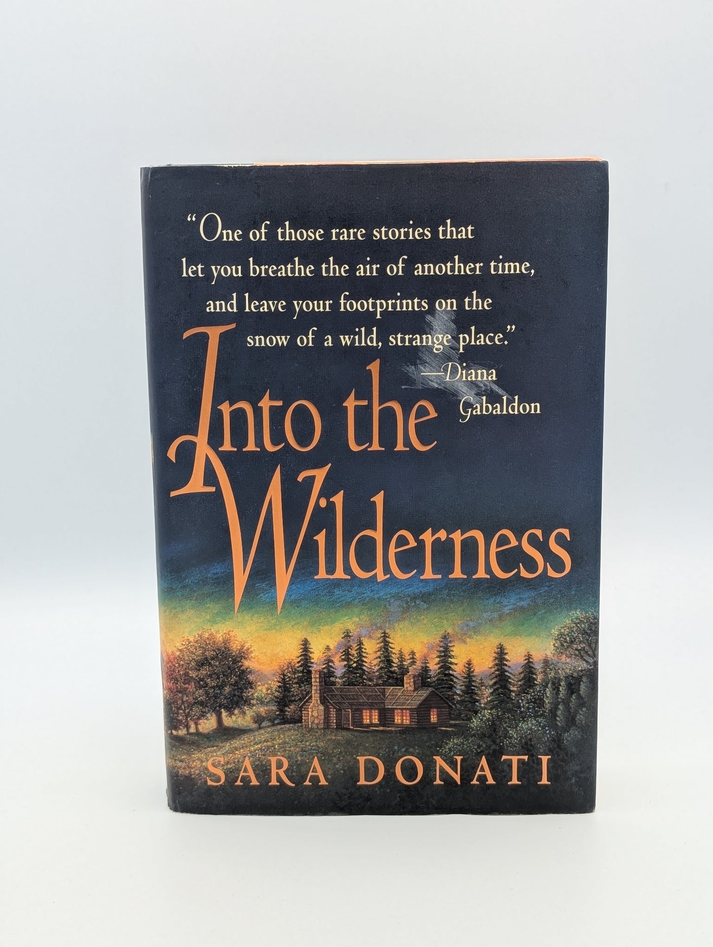 Into the Wilderness