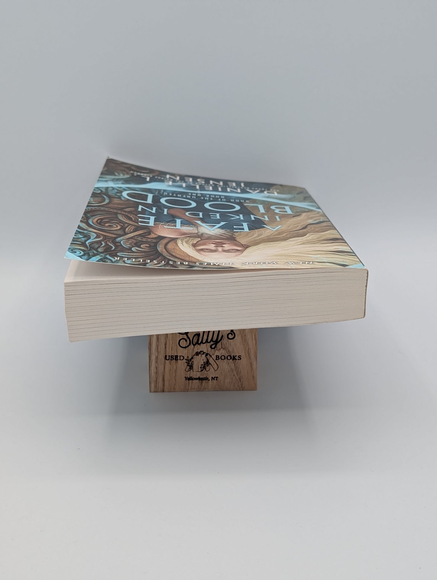 Un destin encré dans le sang : Livre un de la saga des malheureux