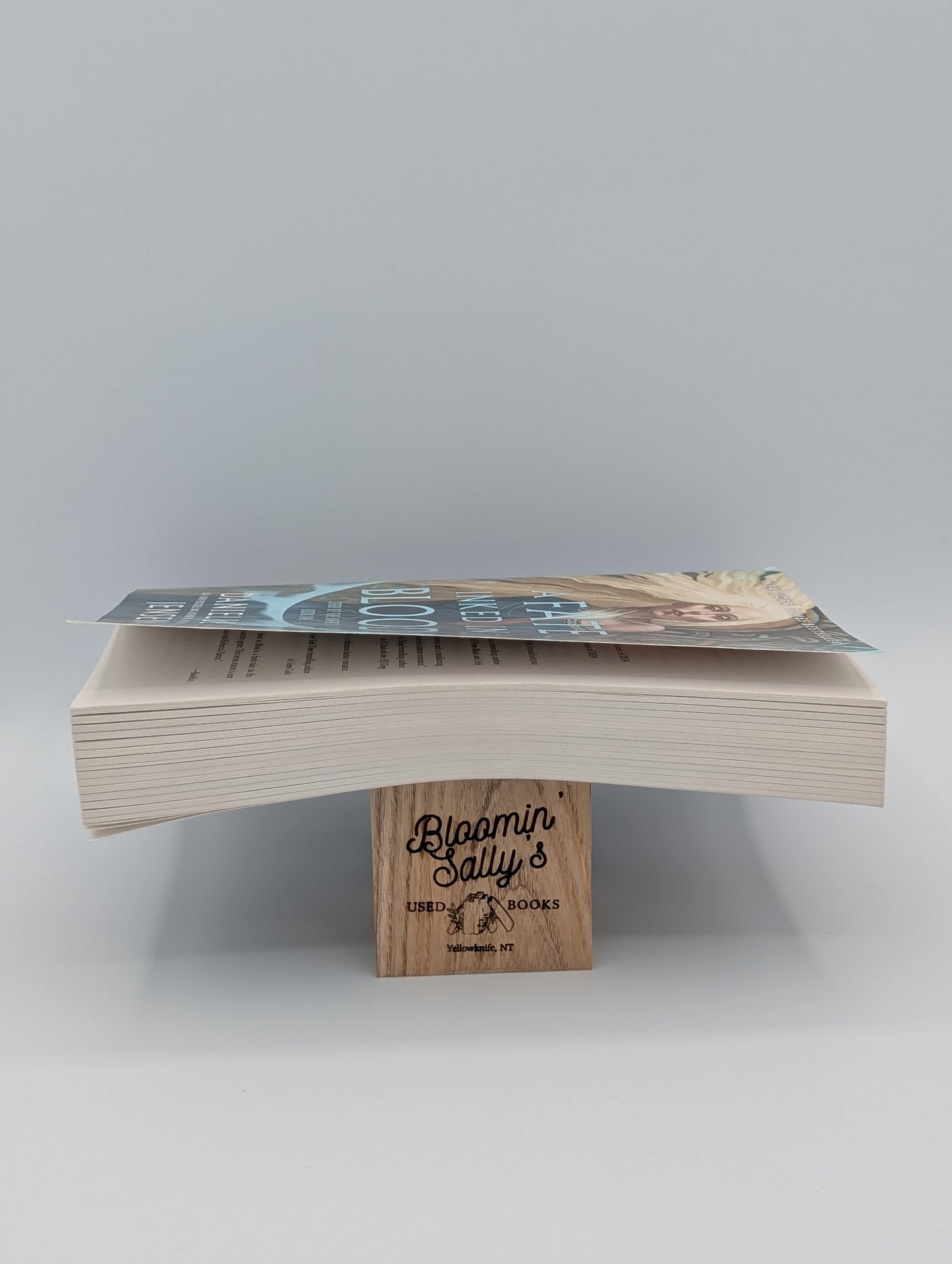 Un destin encré dans le sang : Livre un de la saga des malheureux